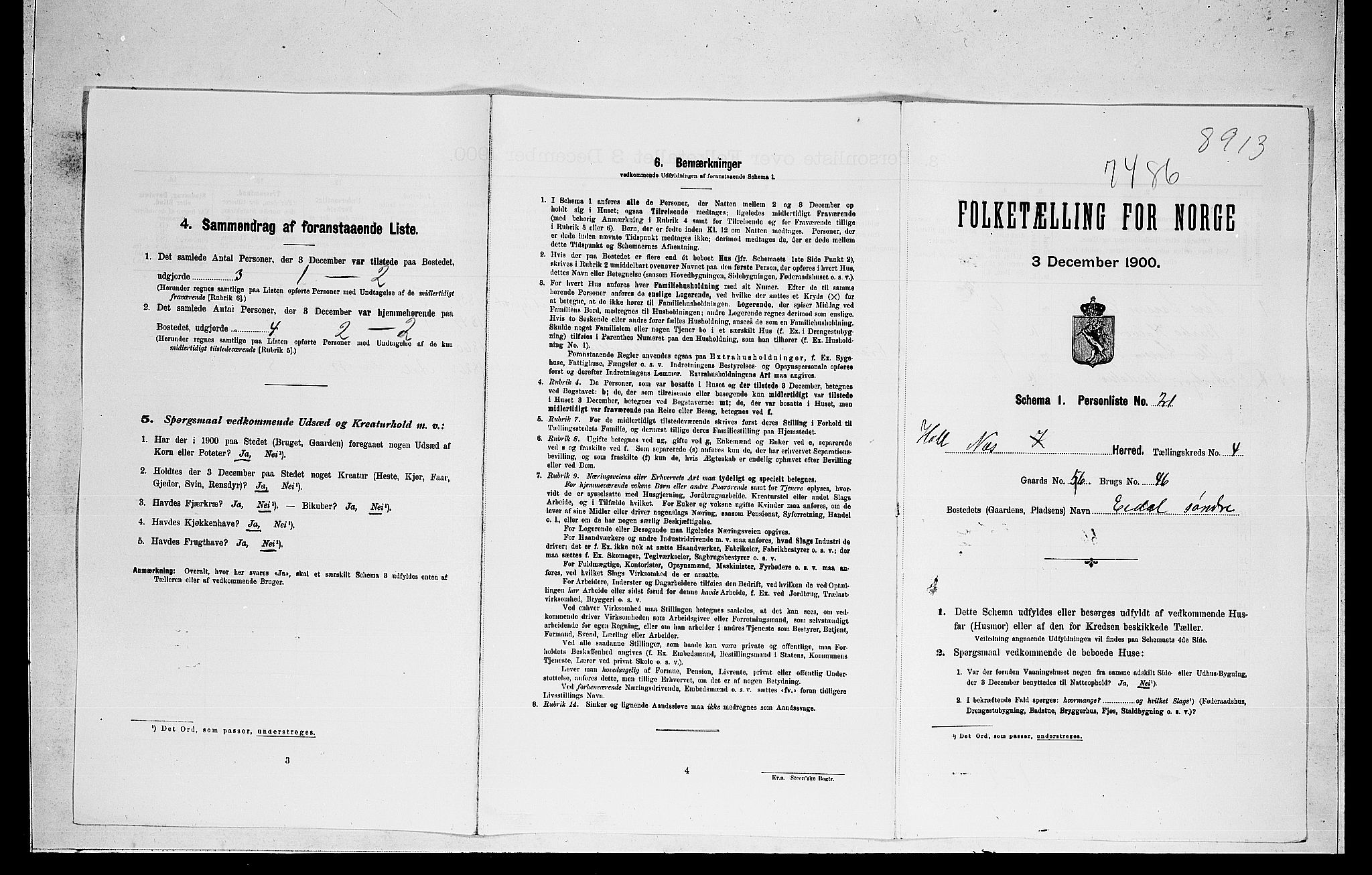 RA, 1900 census for Nes, 1900, p. 56