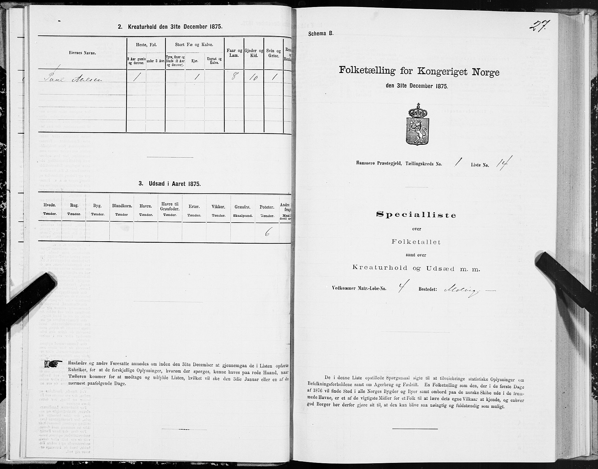 SAT, 1875 census for 1849P Hamarøy, 1875, p. 1027