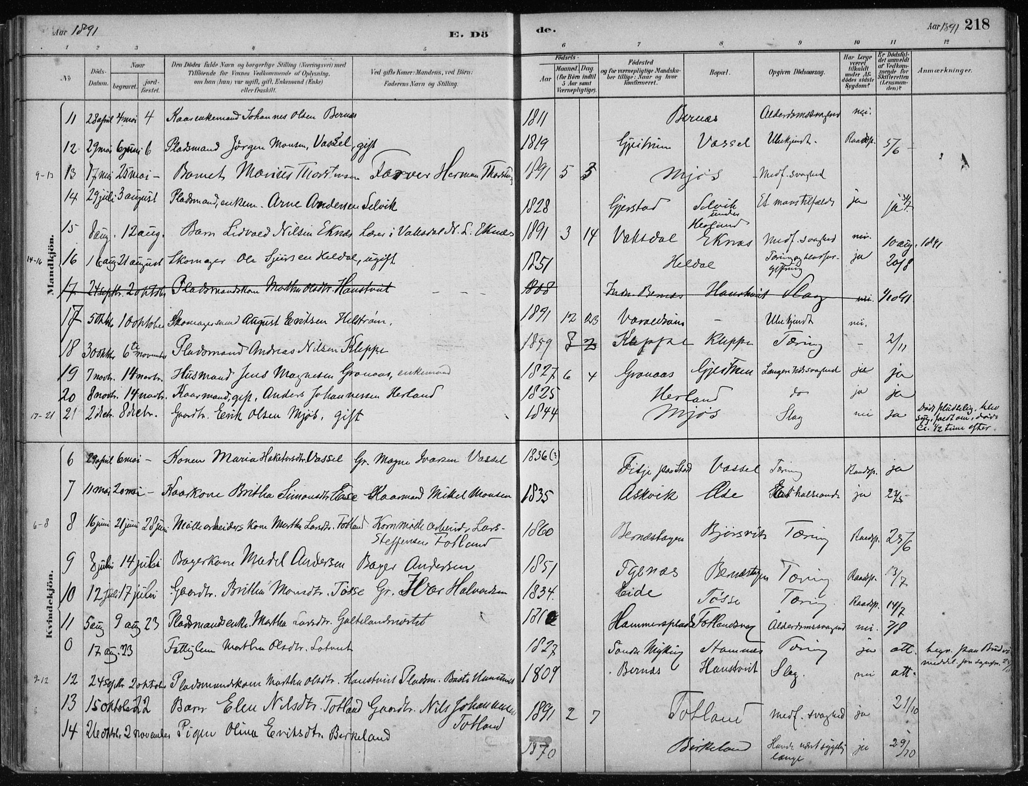 Hosanger sokneprestembete, AV/SAB-A-75801/H/Haa: Parish register (official) no. B  1, 1880-1896, p. 218