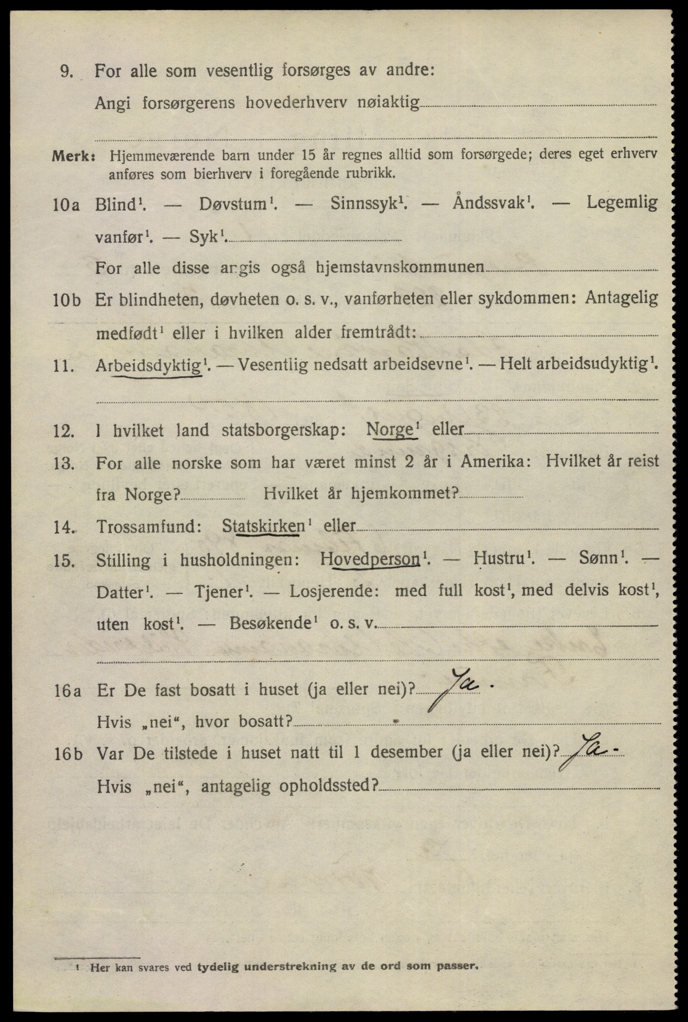 SAKO, 1920 census for Porsgrunn, 1920, p. 17322