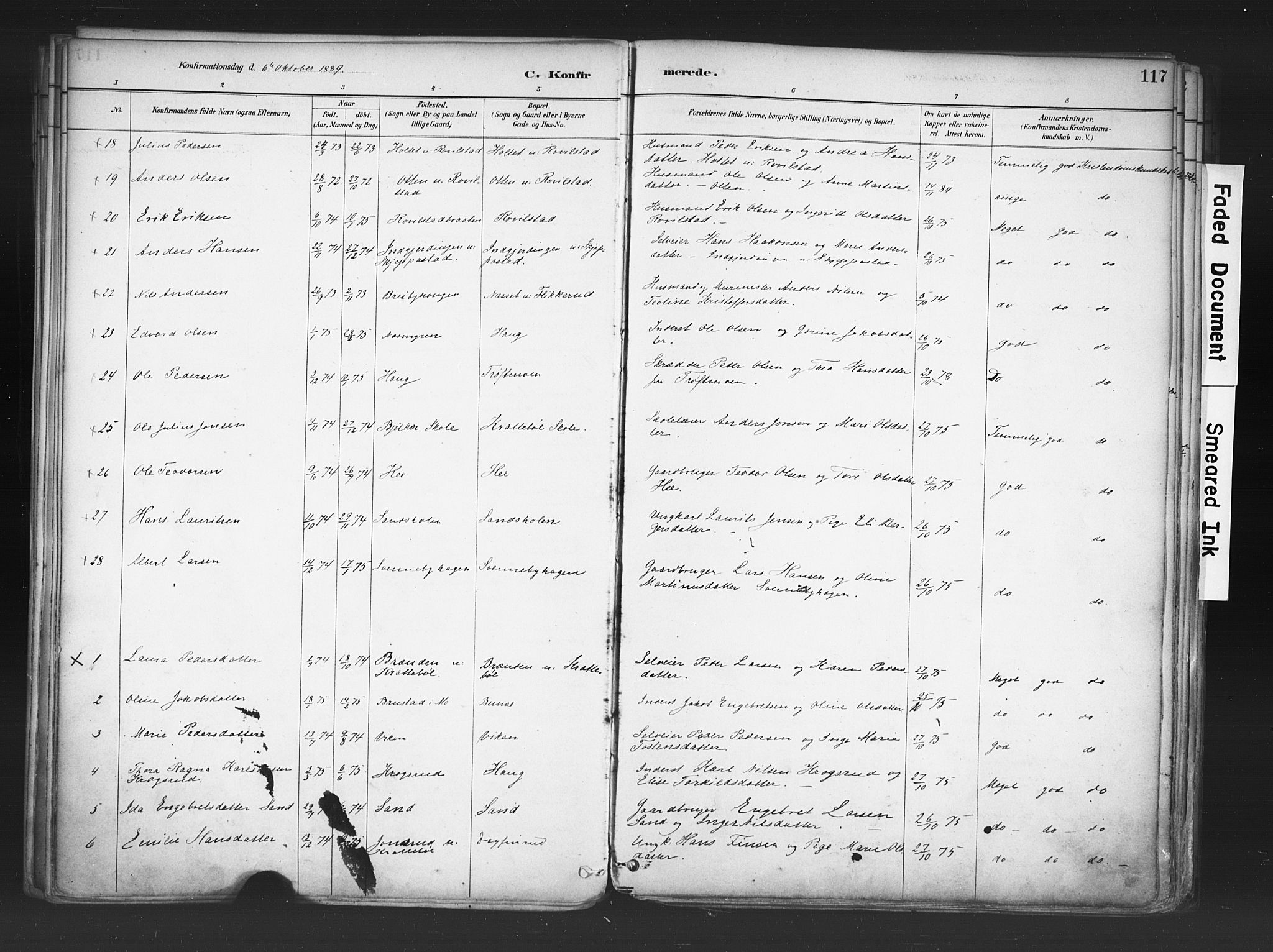 Nord-Odal prestekontor, AV/SAH-PREST-032/H/Ha/Haa/L0006: Parish register (official) no. 6, 1886-1901, p. 117