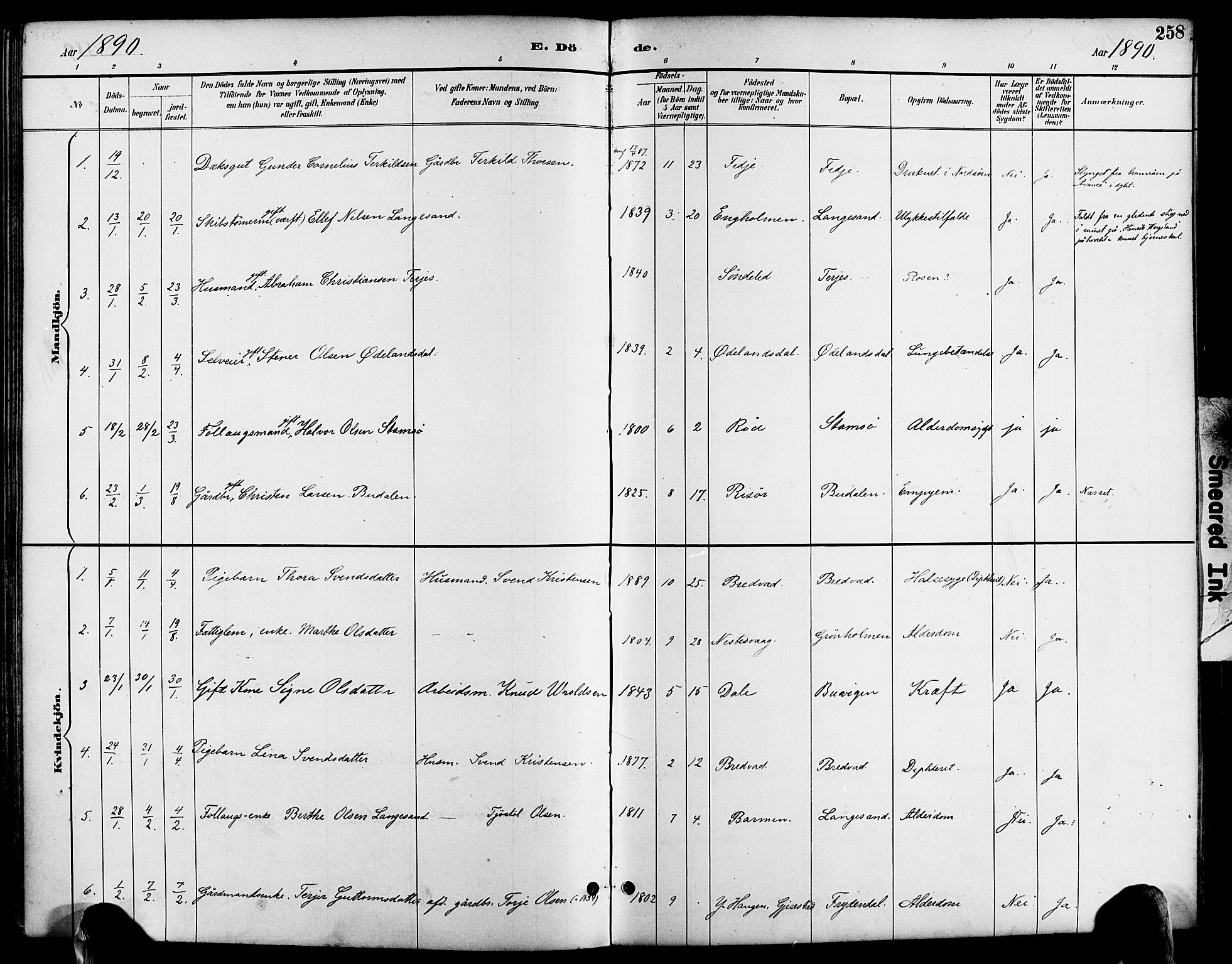 Søndeled sokneprestkontor, AV/SAK-1111-0038/F/Fa/L0005: Parish register (official) no. A 5, 1889-1899, p. 258