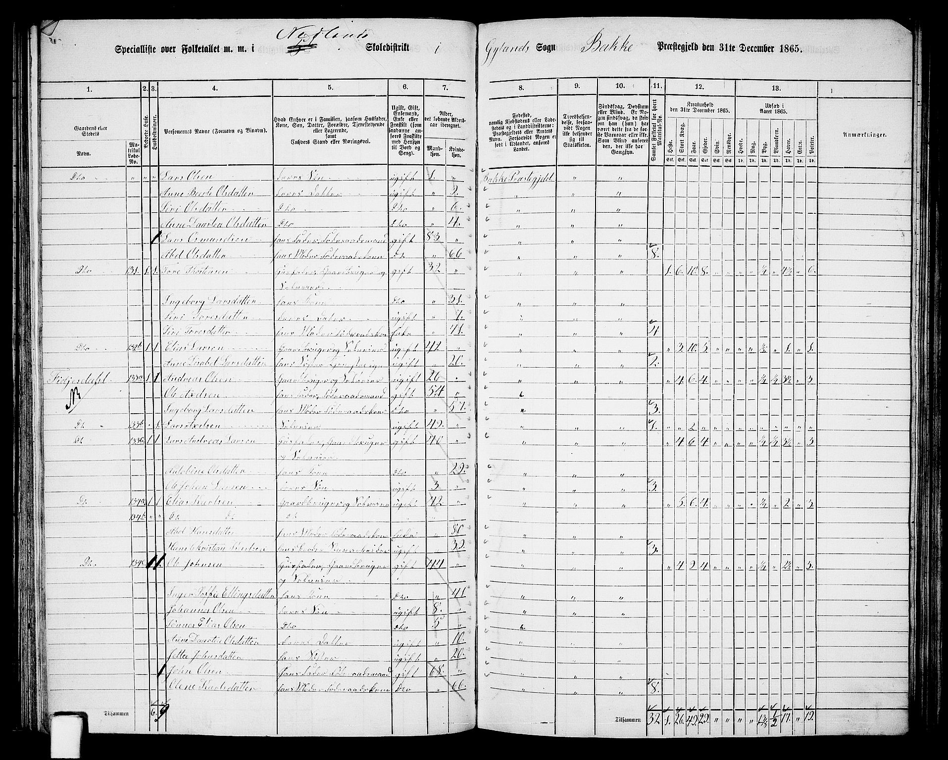 RA, 1865 census for Bakke, 1865, p. 54