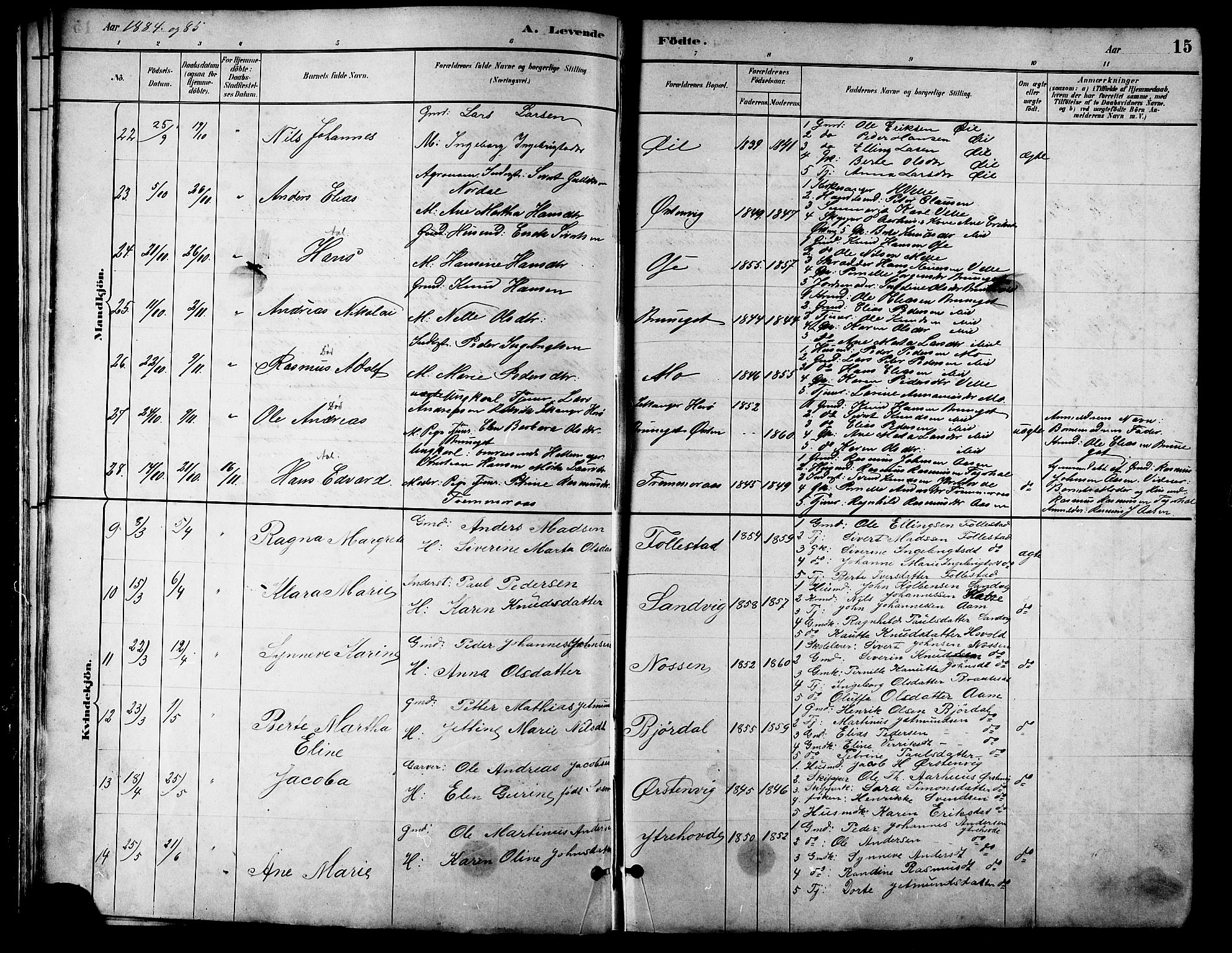 Ministerialprotokoller, klokkerbøker og fødselsregistre - Møre og Romsdal, AV/SAT-A-1454/513/L0189: Parish register (copy) no. 513C03, 1883-1904, p. 15