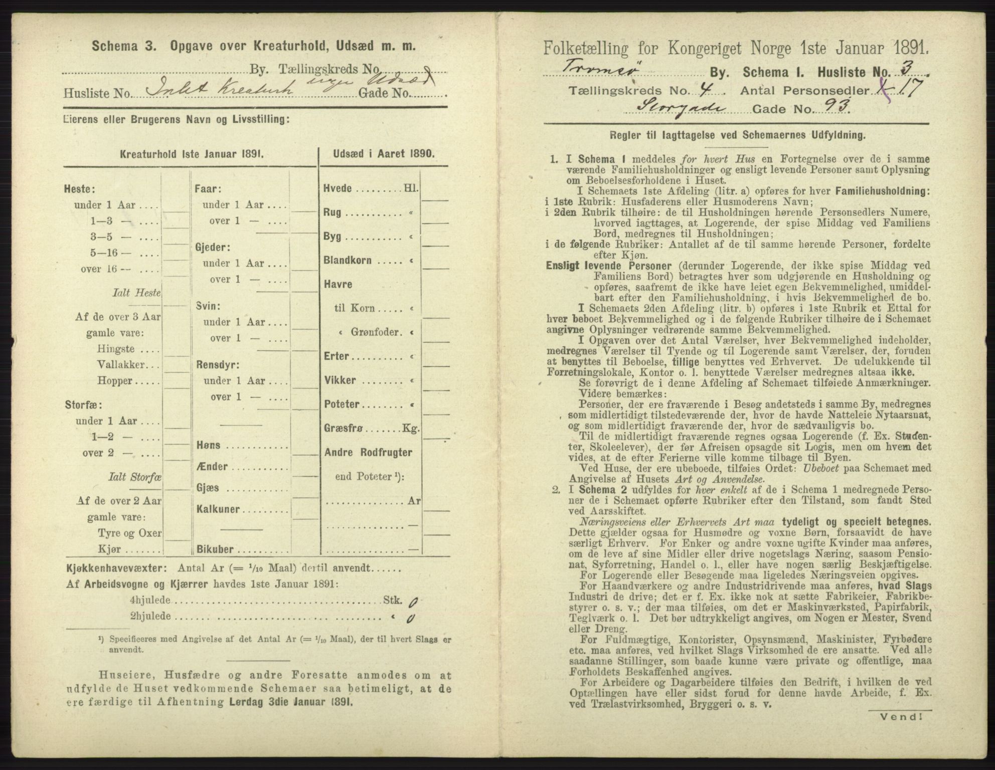 RA, 1891 census for 1902 Tromsø, 1891, p. 3995