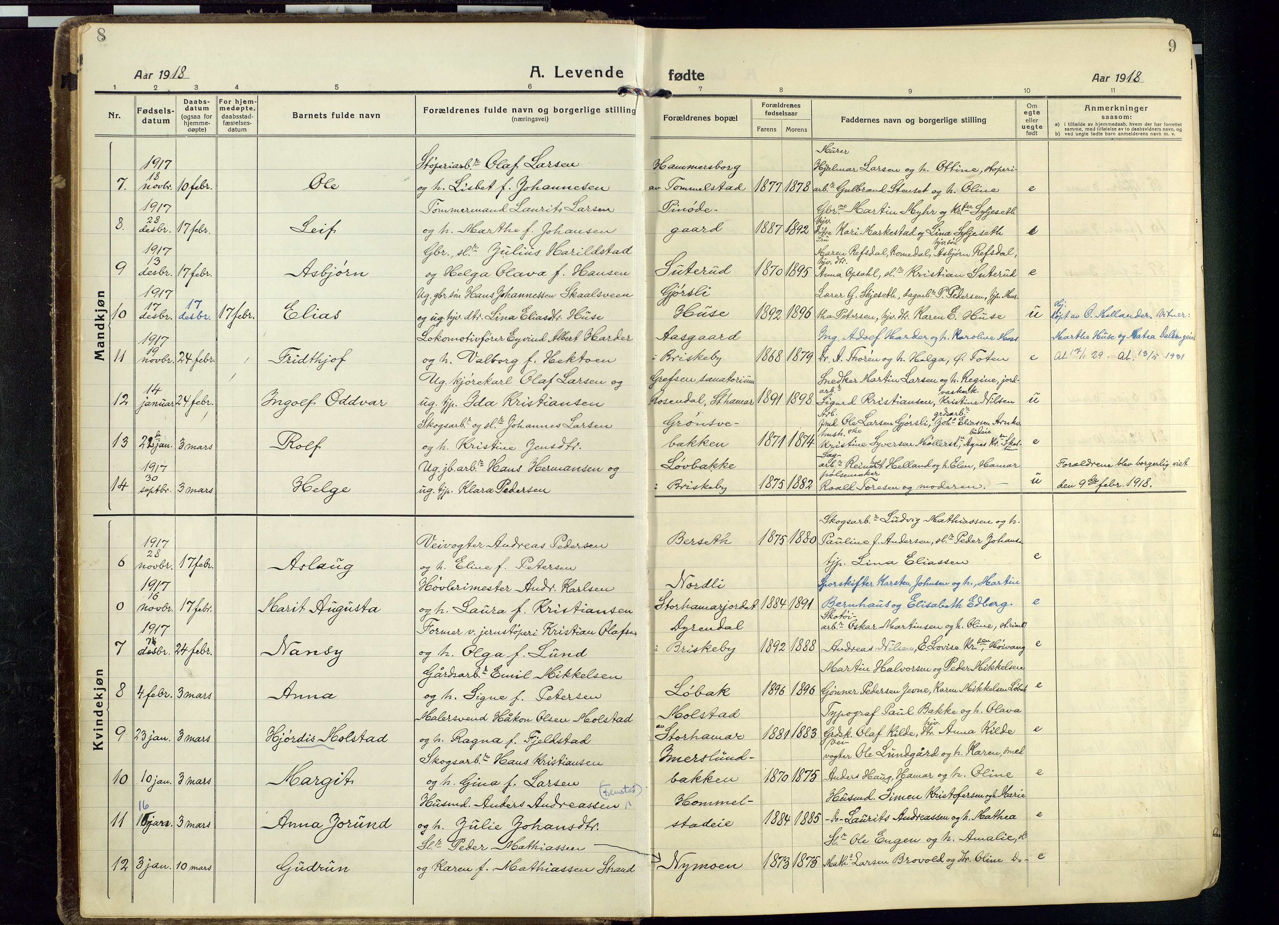 Vang prestekontor, Hedmark, SAH/PREST-008/H/Ha/Haa/L0022: Parish register (official) no. 22, 1918-1944, p. 8-9