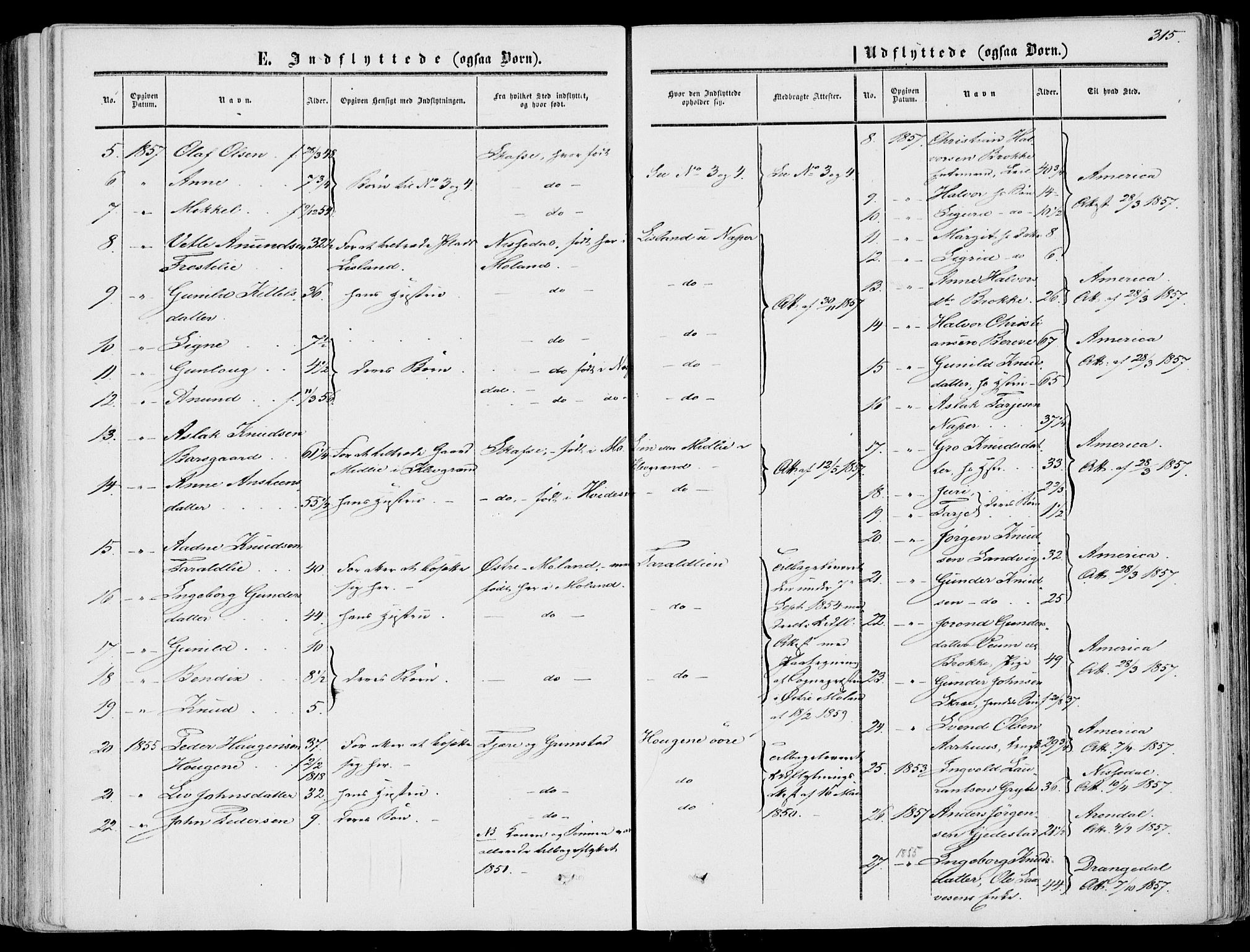 Fyresdal kirkebøker, SAKO/A-263/F/Fa/L0005: Parish register (official) no. I 5, 1855-1871, p. 315