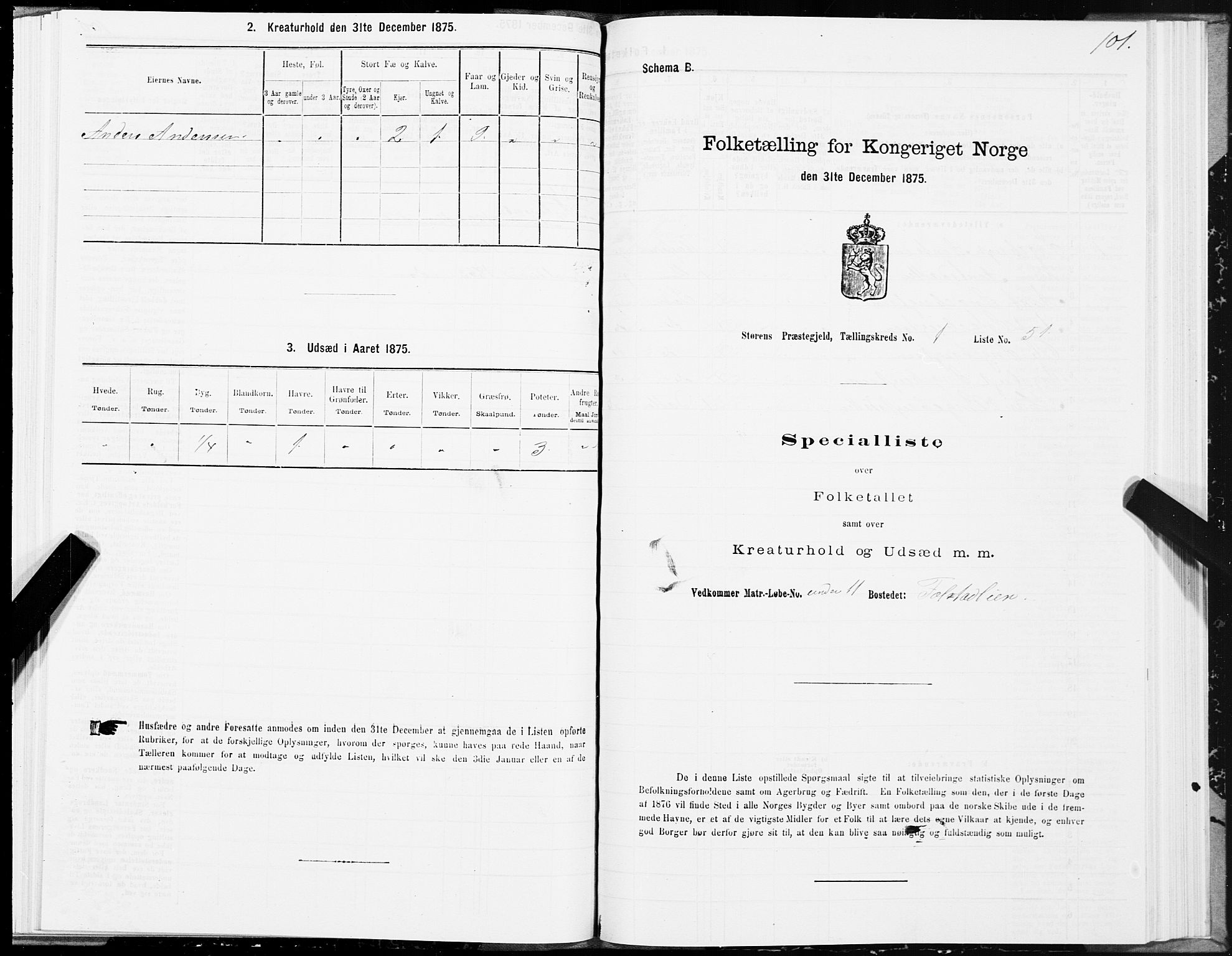 SAT, 1875 census for 1648P Støren, 1875, p. 1101