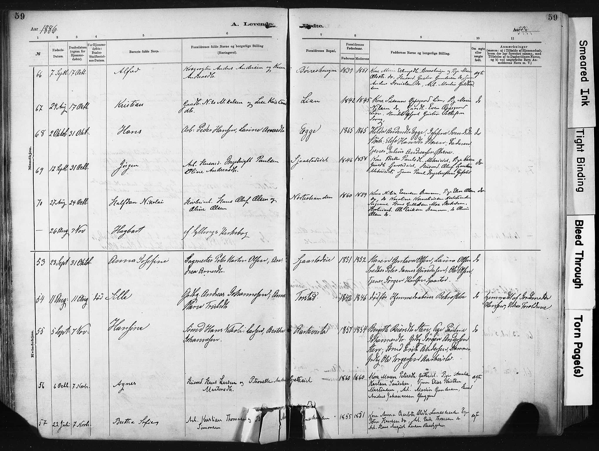 Lier kirkebøker, AV/SAKO-A-230/F/Fa/L0015: Parish register (official) no. I 15, 1883-1894, p. 59