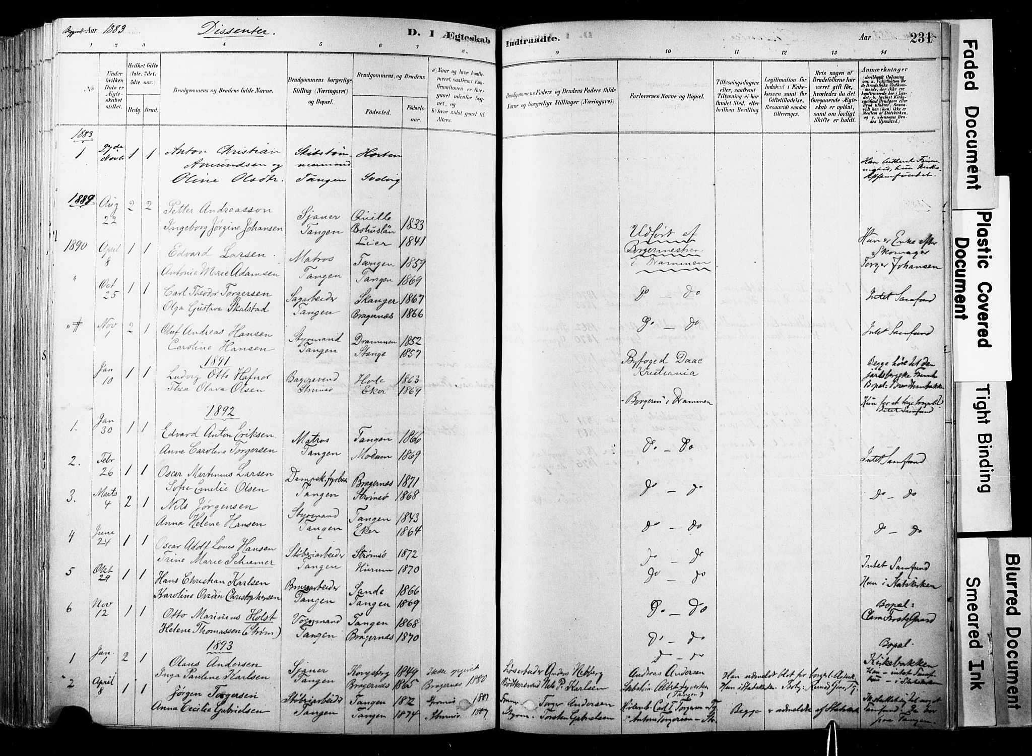 Strømsø kirkebøker, SAKO/A-246/F/Fb/L0006: Parish register (official) no. II 6, 1879-1910, p. 231