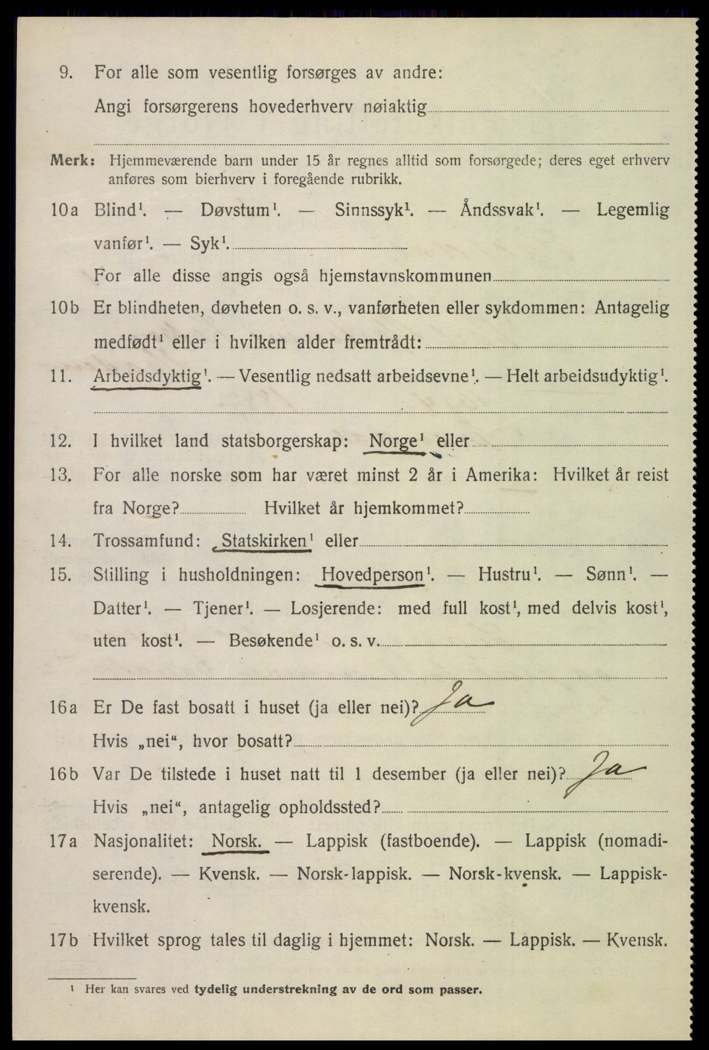 SAT, 1920 census for Saltdal, 1920, p. 3008