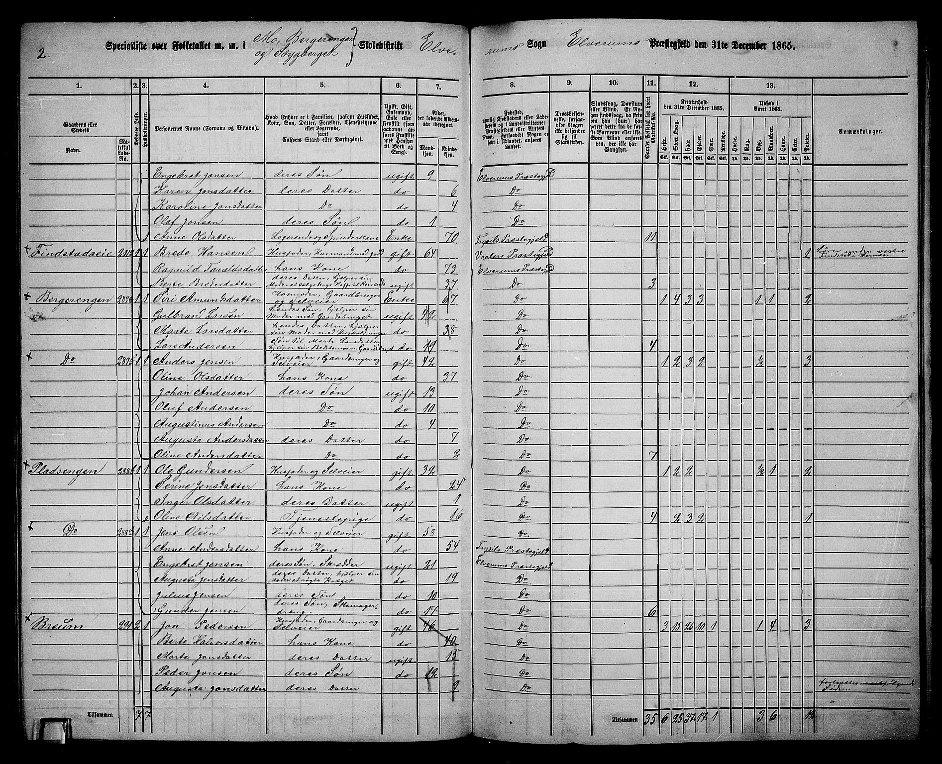 RA, 1865 census for Elverum, 1865, p. 207