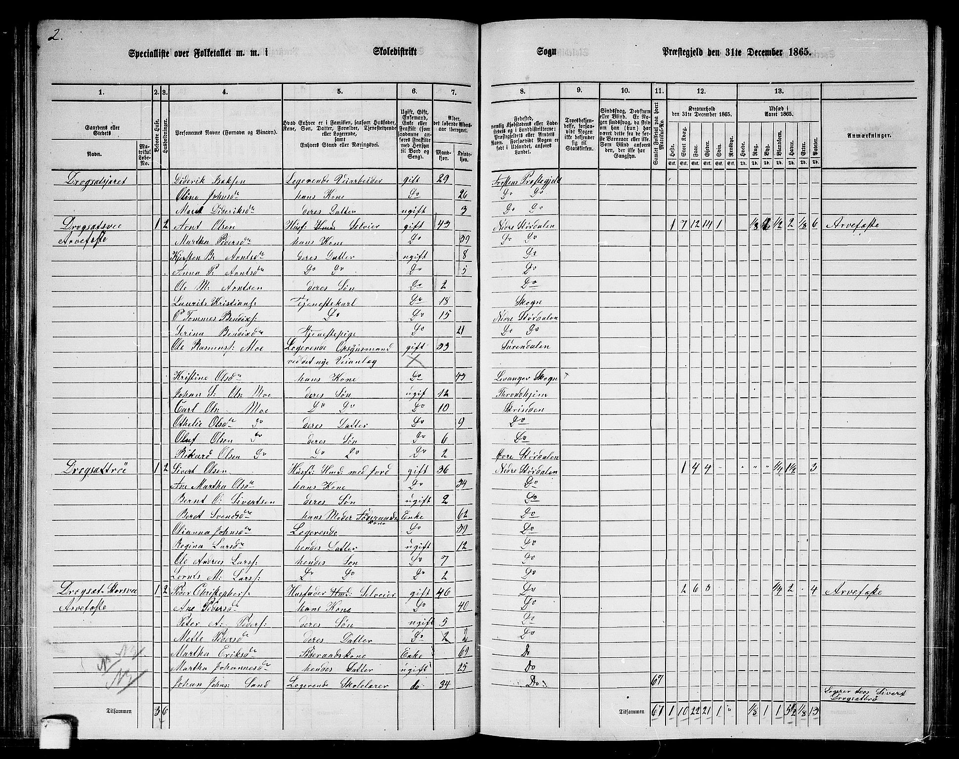 RA, 1865 census for Nedre Stjørdal, 1865, p. 110