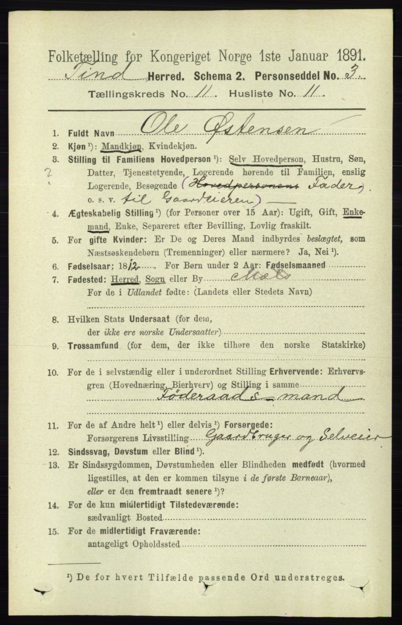 RA, 1891 census for 0826 Tinn, 1891, p. 2174