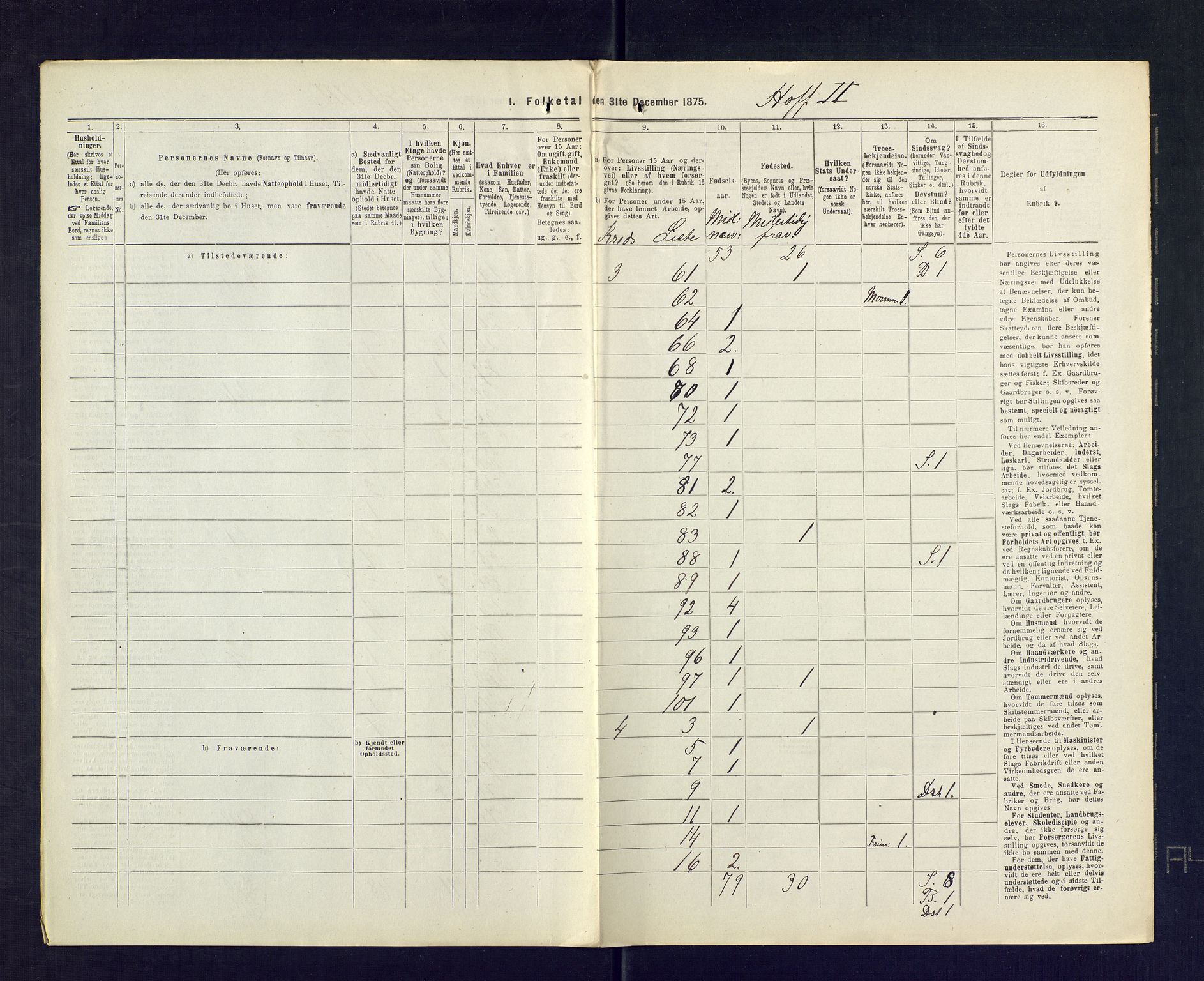 SAKO, 1875 census for 0714P Hof, 1875, p. 30