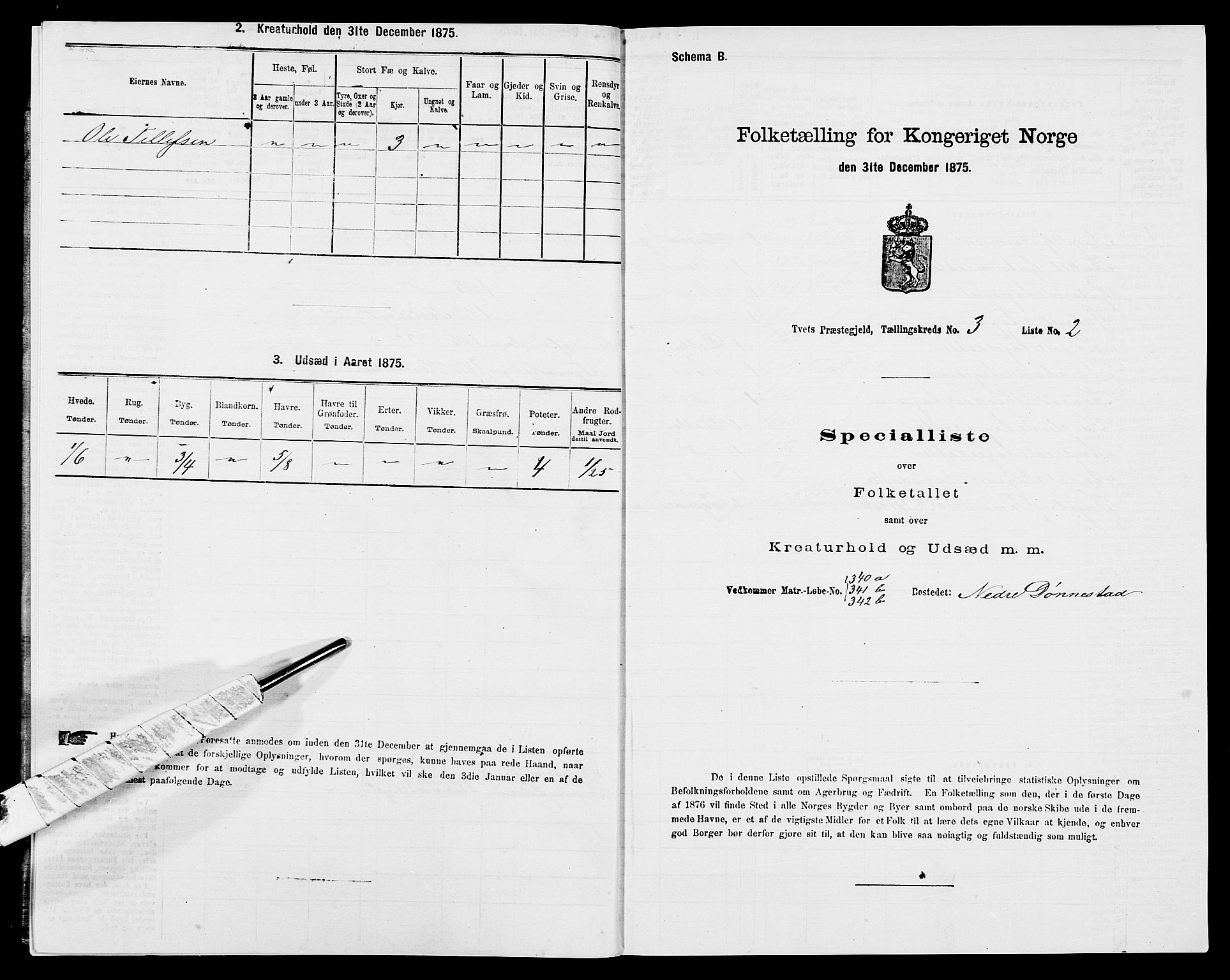 SAK, 1875 census for 1013P Tveit, 1875, p. 317