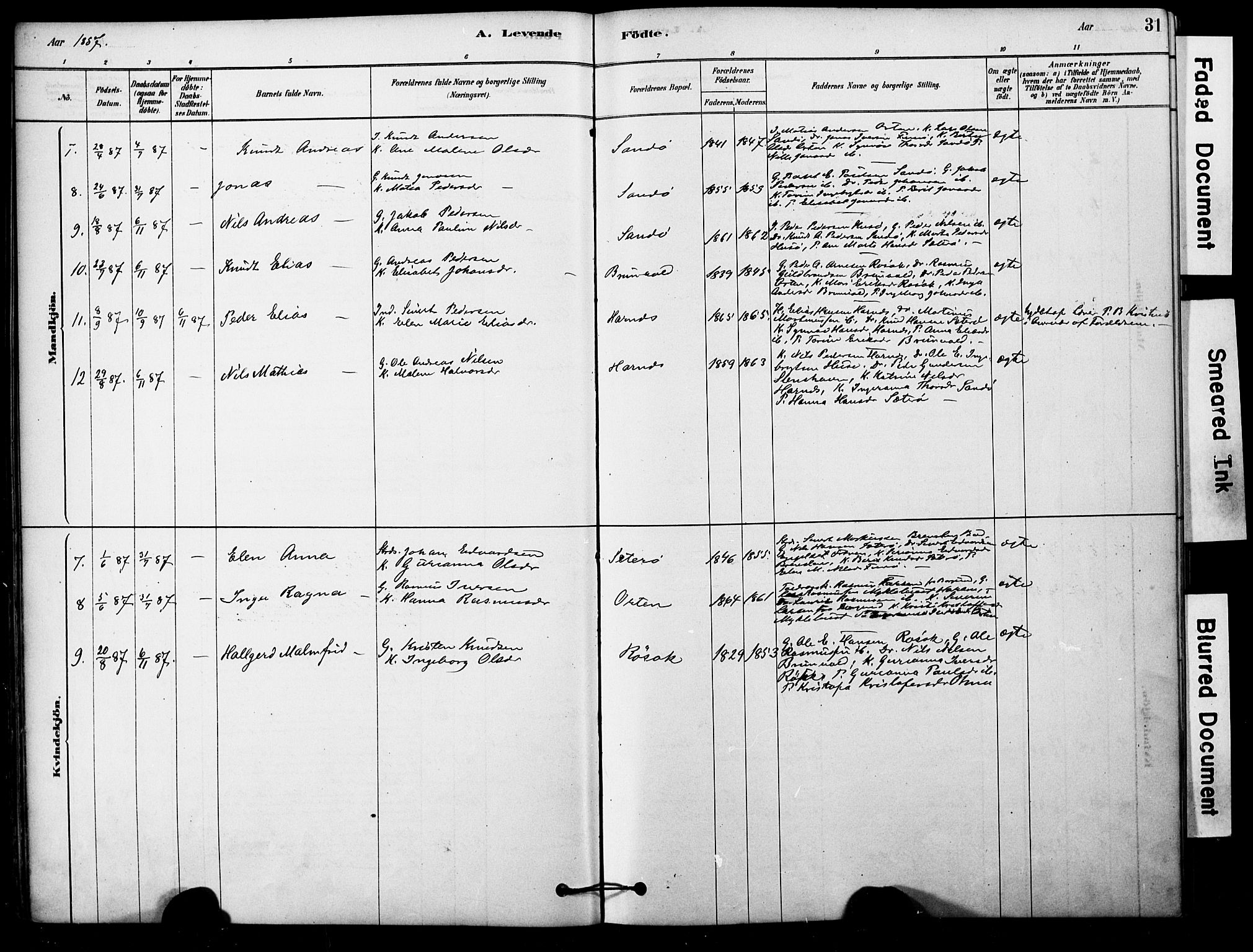 Ministerialprotokoller, klokkerbøker og fødselsregistre - Møre og Romsdal, AV/SAT-A-1454/561/L0729: Parish register (official) no. 561A03, 1878-1900, p. 31