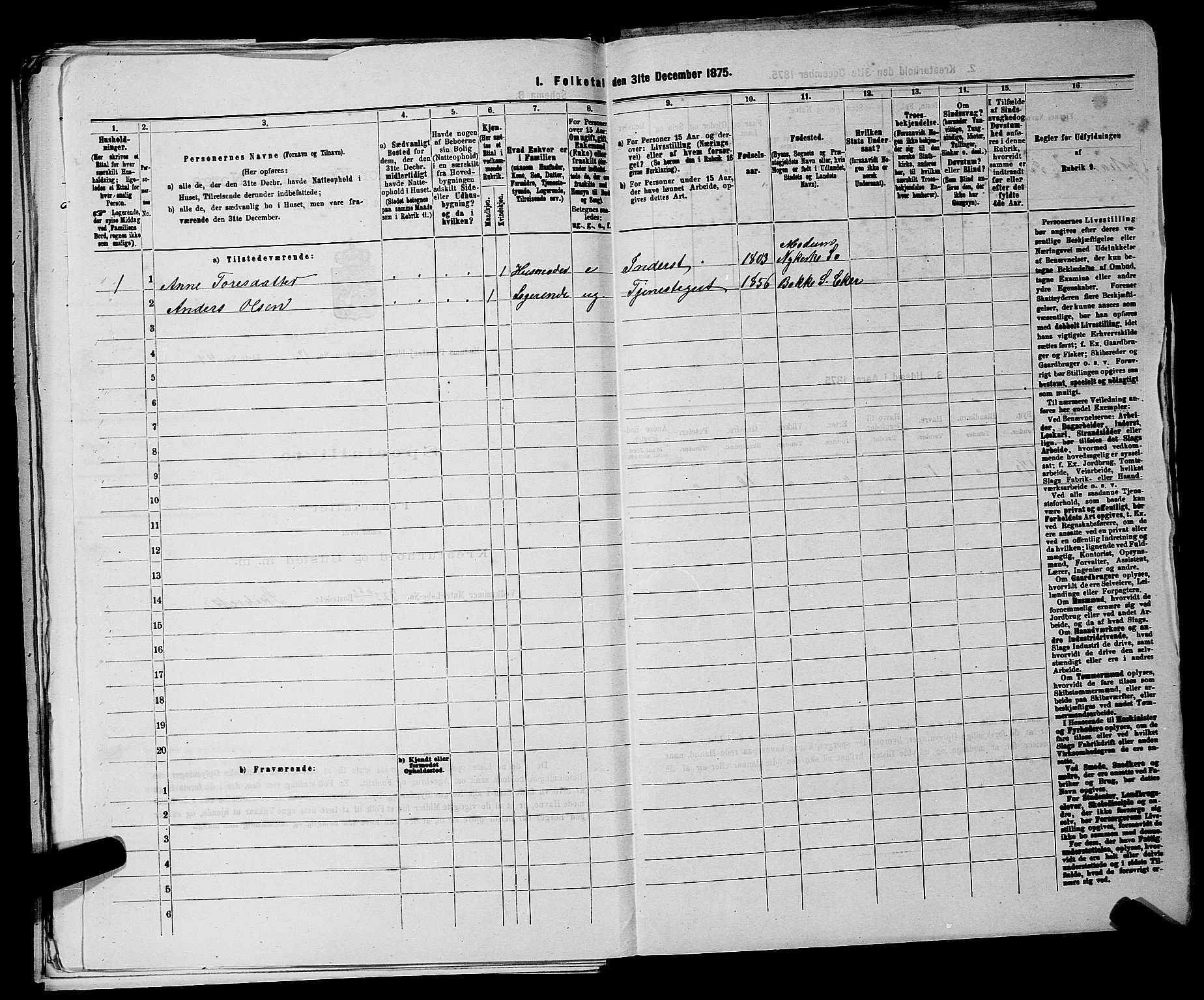 SAKO, 1875 census for 0623P Modum, 1875, p. 2450