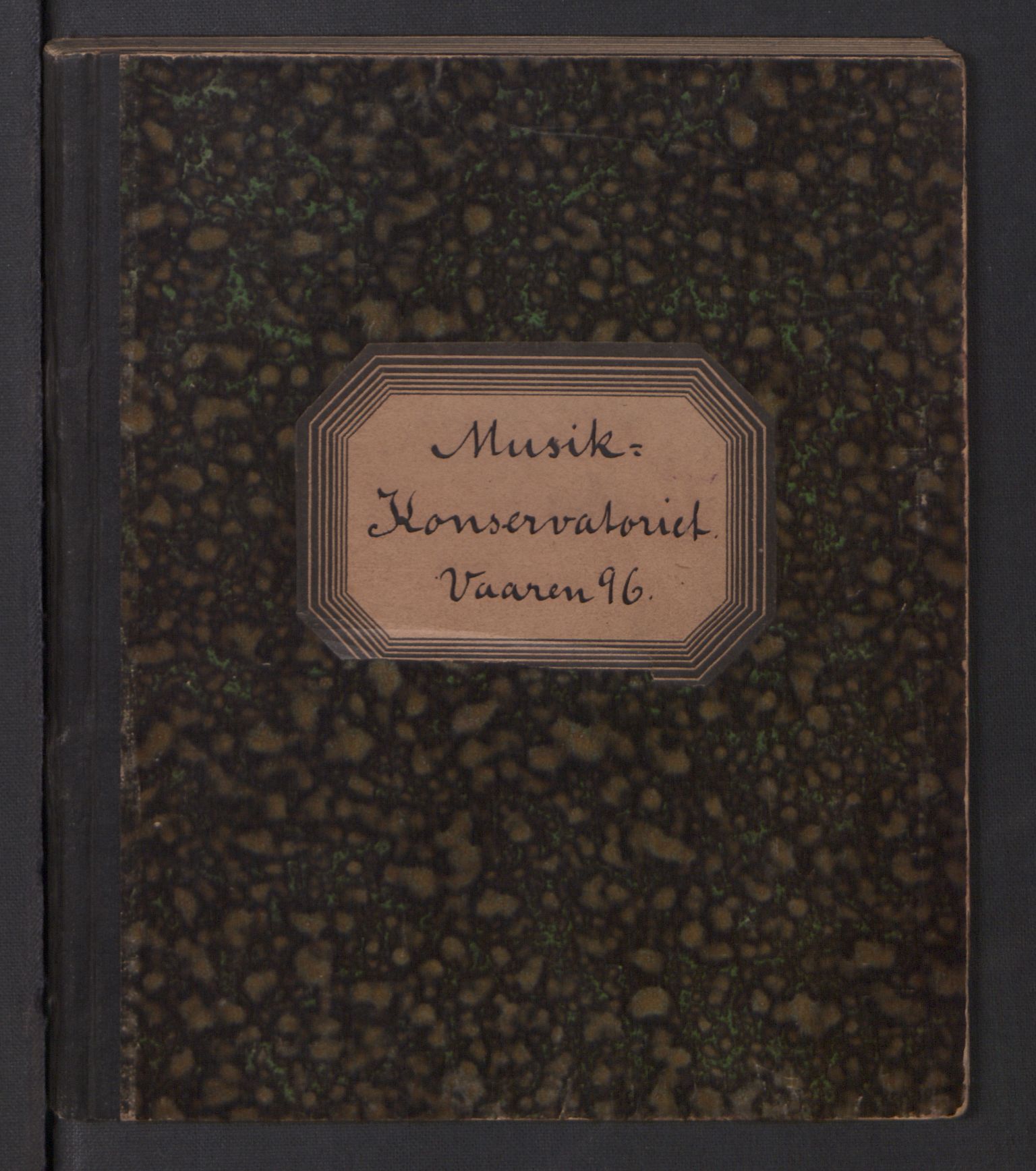 Musikkonservatoriet i Oslo, AV/RA-PA-1761/F/Fa/L0001/0005: Oversikt over lærere, elever, m.m. (mangler skoleåret 1890-91 og 1891-92) / Musikkonservatoriet - Skoleåret - Høstsemesteret, 1895