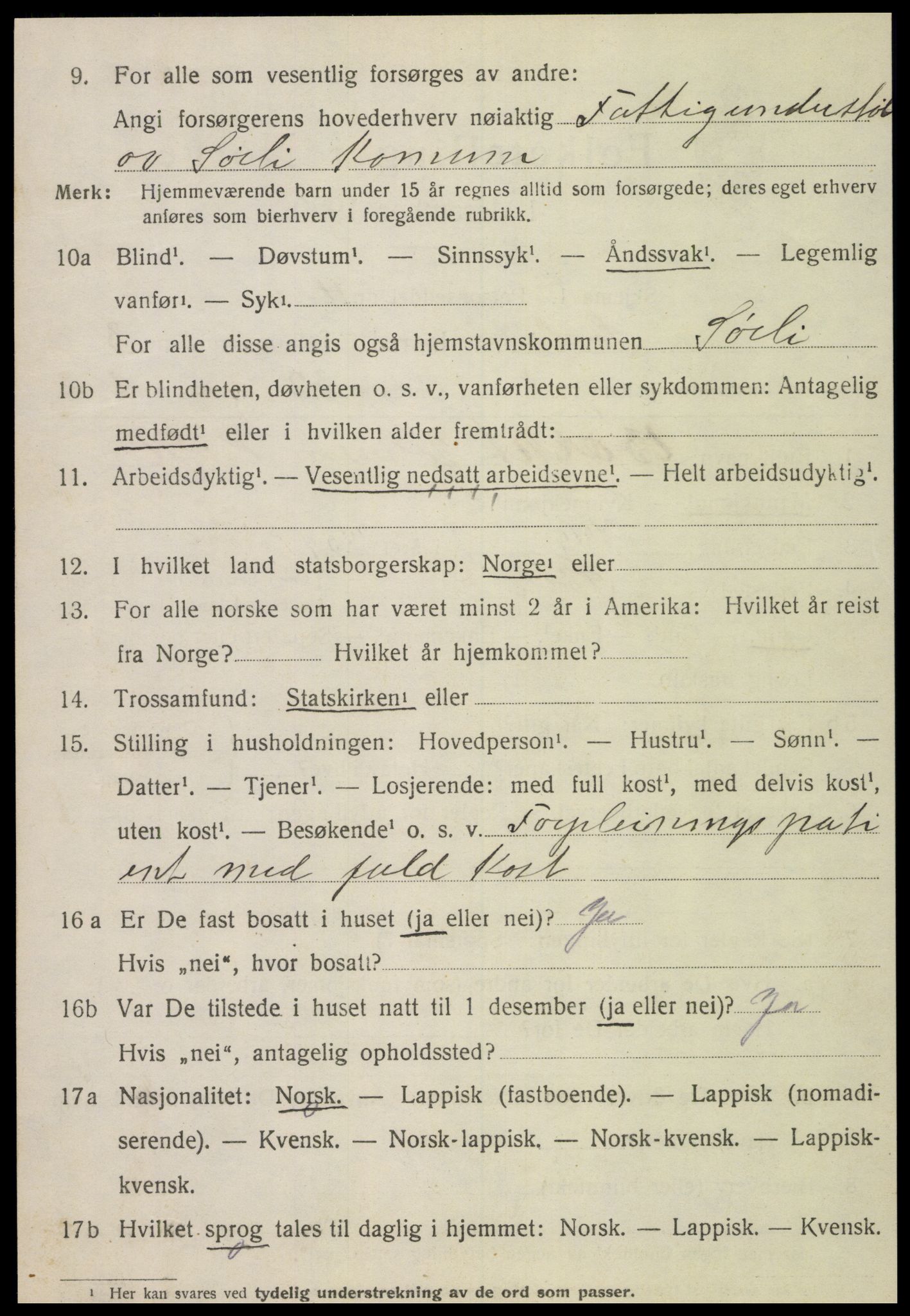 SAT, 1920 census for Sørli, 1920, p. 1070