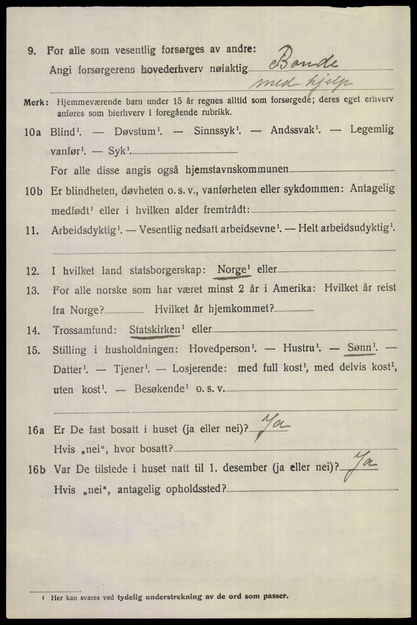 SAKO, 1920 census for Ål, 1920, p. 4617