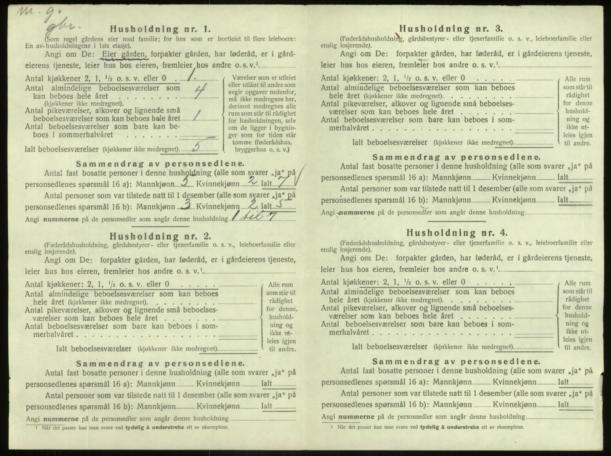 SAB, 1920 census for Hafslo, 1920, p. 1003