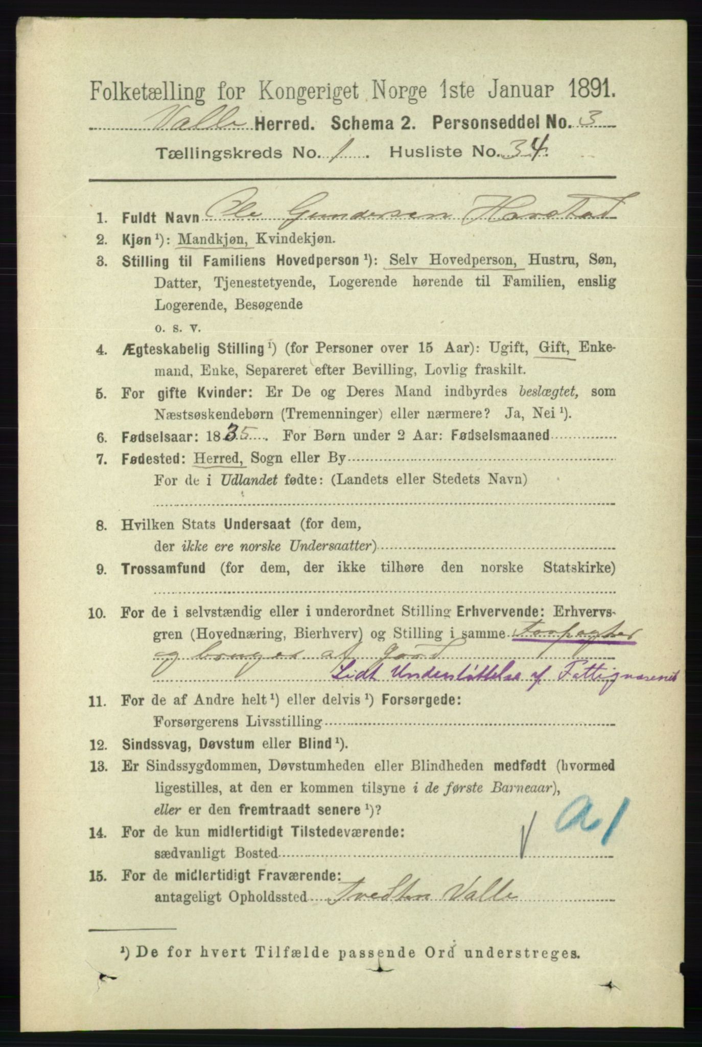 RA, 1891 census for 0940 Valle, 1891, p. 308