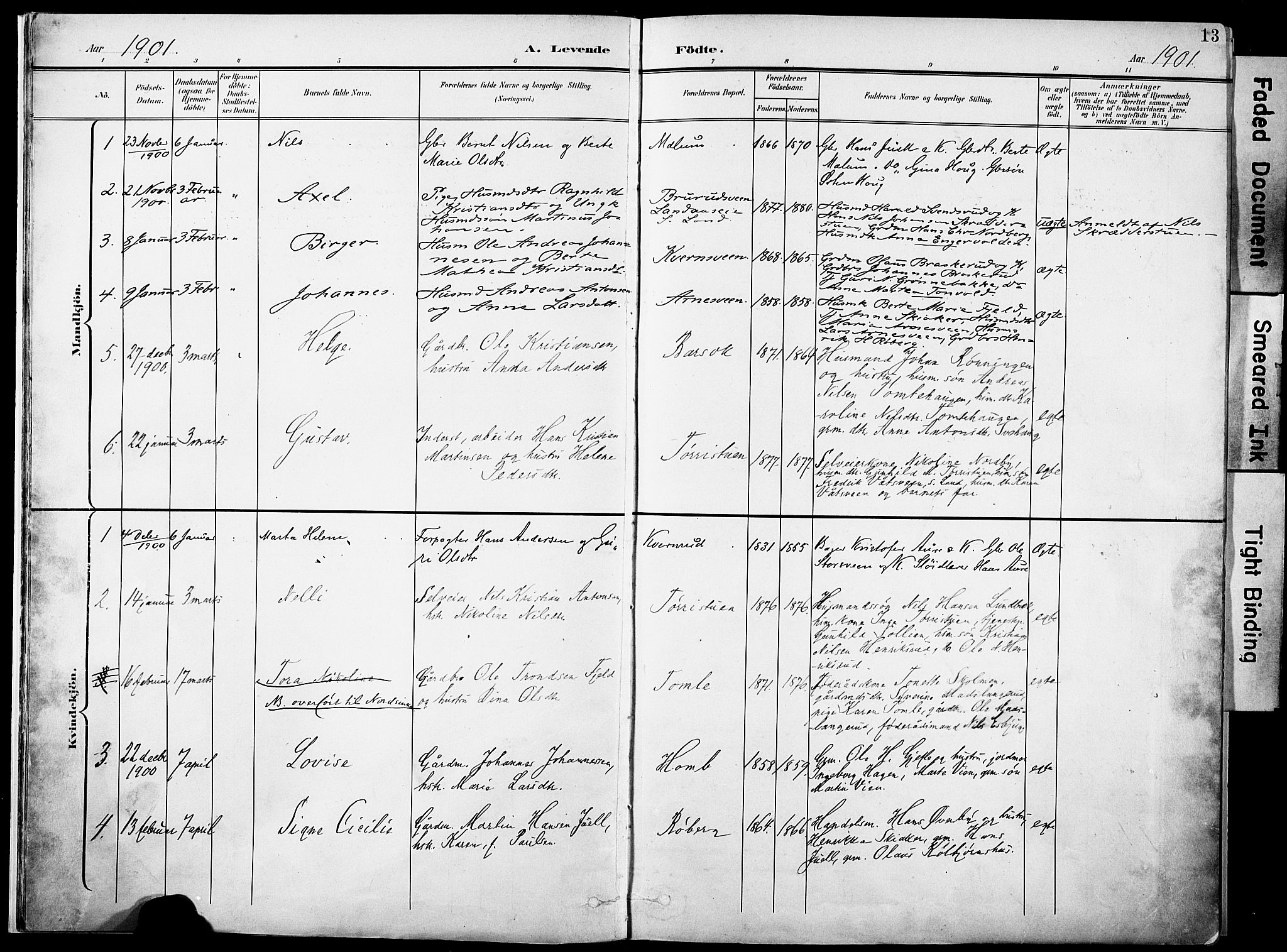 Nordre Land prestekontor, SAH/PREST-124/H/Ha/Haa/L0006: Parish register (official) no. 6, 1897-1914, p. 13