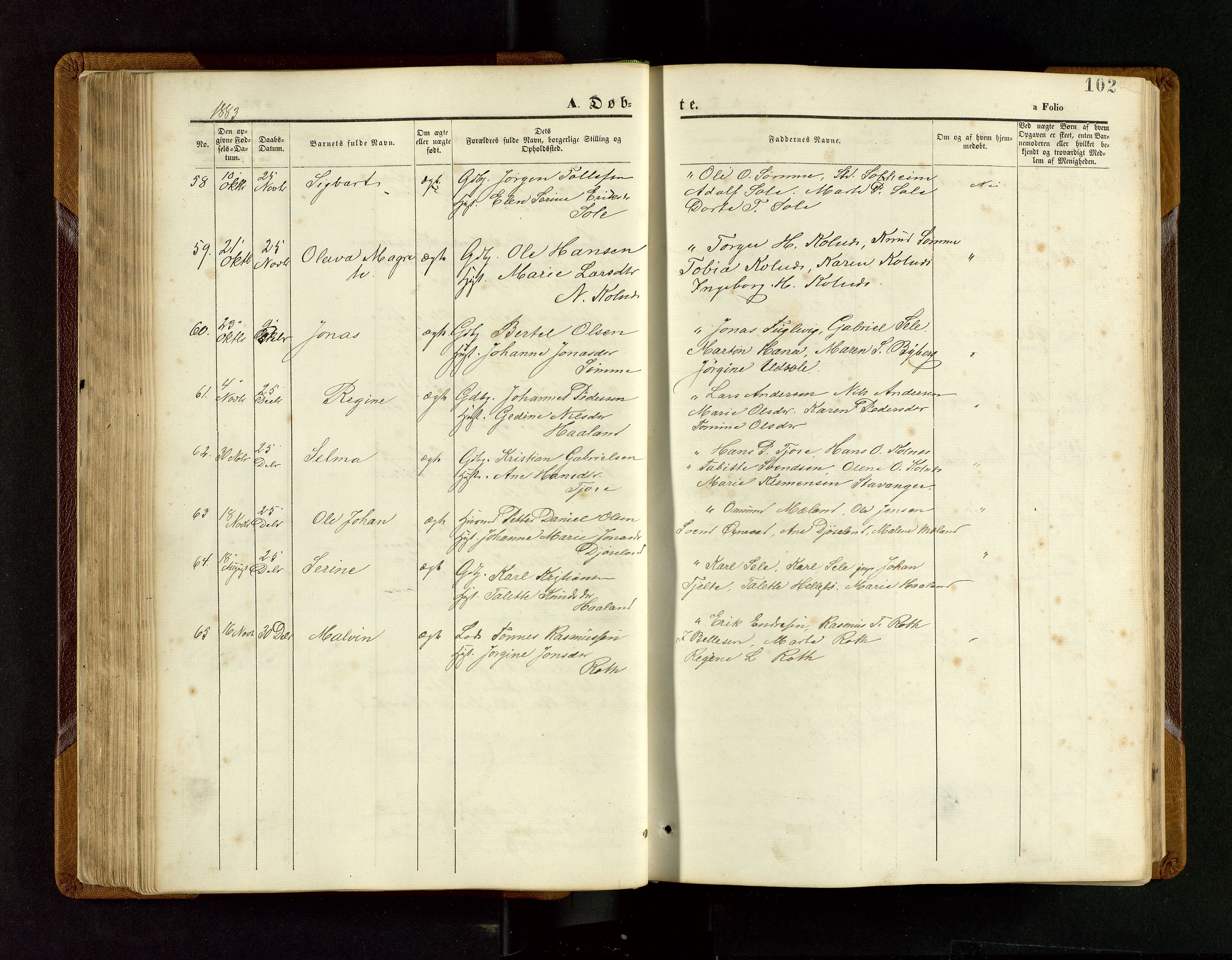Håland sokneprestkontor, SAST/A-101802/001/30BB/L0003: Parish register (copy) no. B 3, 1873-1893, p. 102