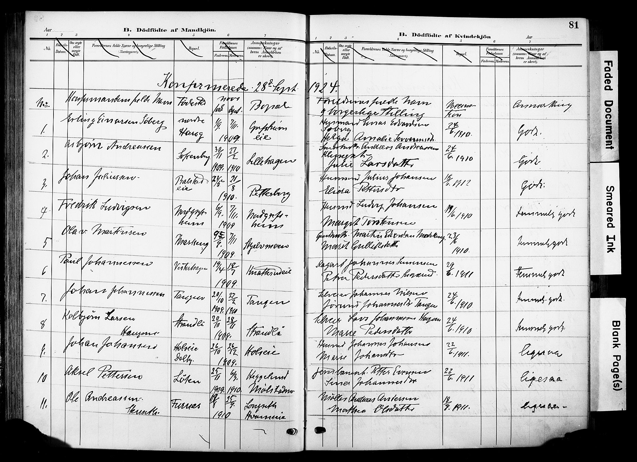 Nes prestekontor, Hedmark, SAH/PREST-020/K/Ka/L0014: Parish register (official) no. 14, 1906-1929, p. 81
