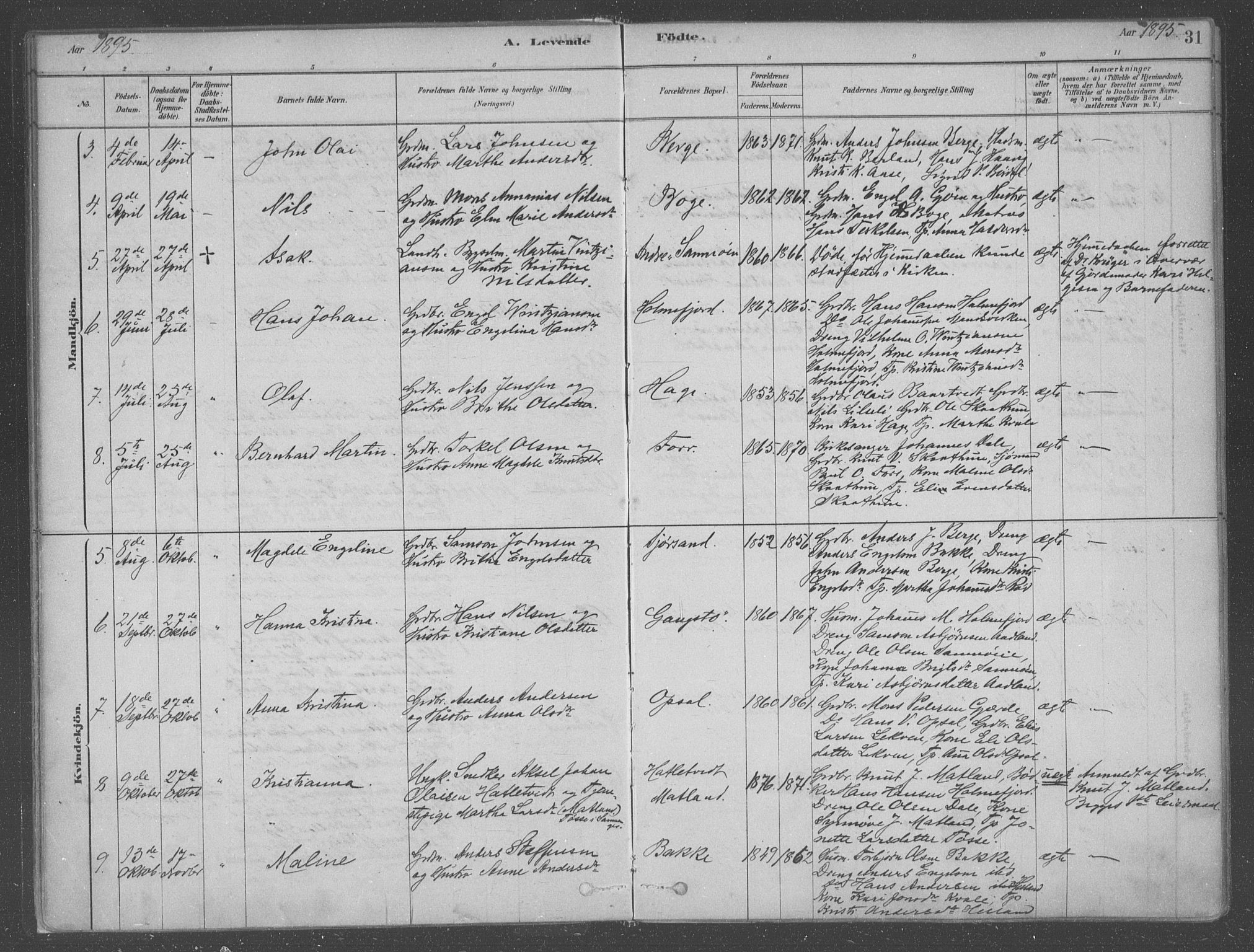 Fusa sokneprestembete, AV/SAB-A-75401/H/Haa: Parish register (official) no. B 1, 1880-1938, p. 31