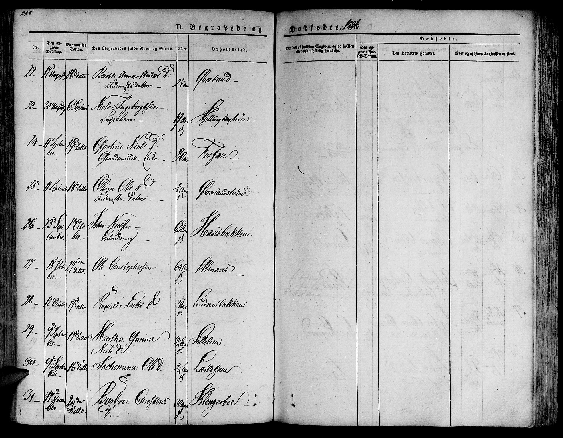 Ministerialprotokoller, klokkerbøker og fødselsregistre - Nord-Trøndelag, SAT/A-1458/701/L0006: Parish register (official) no. 701A06, 1825-1841, p. 243