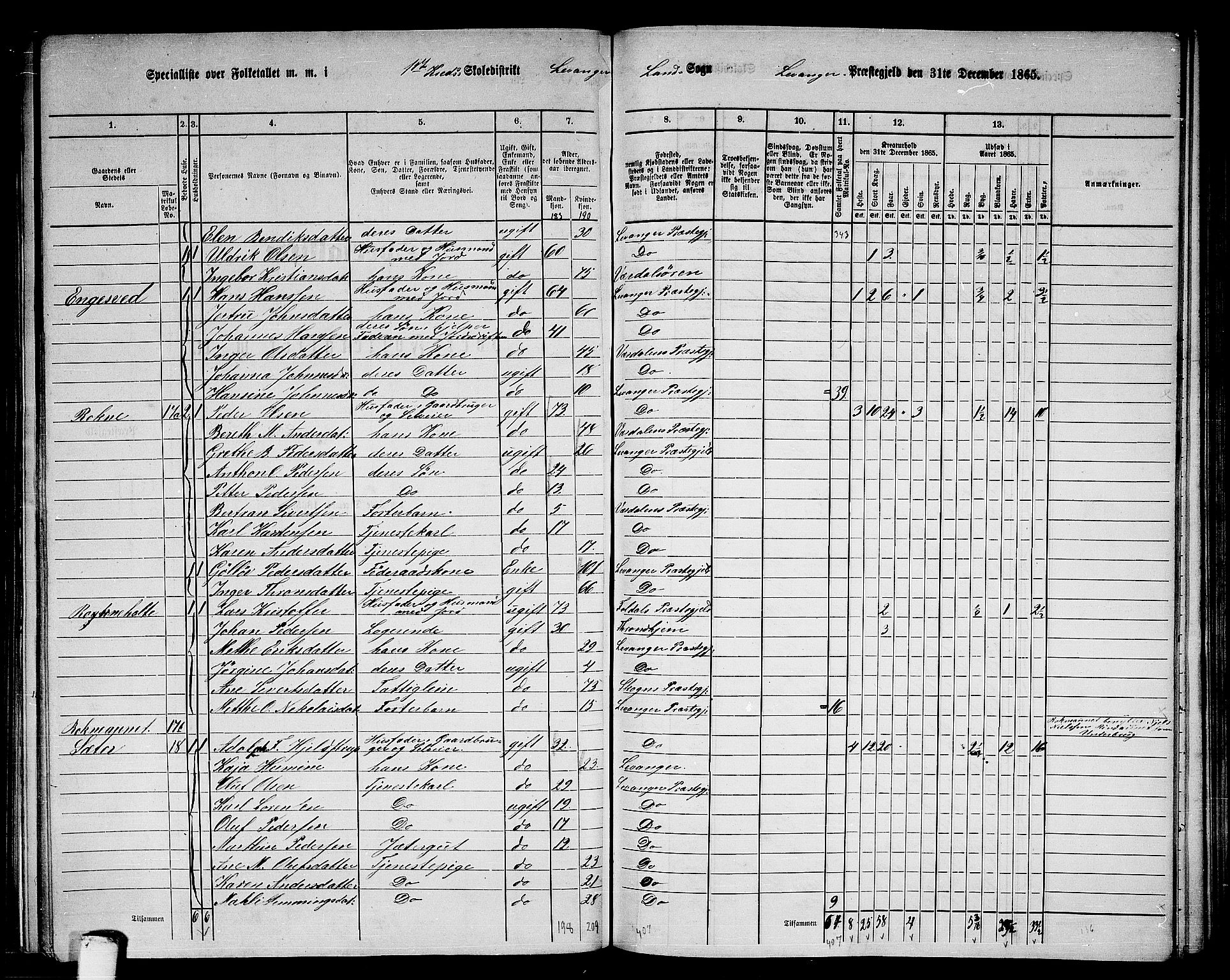 RA, 1865 census for Levanger/Levanger, 1865, p. 19