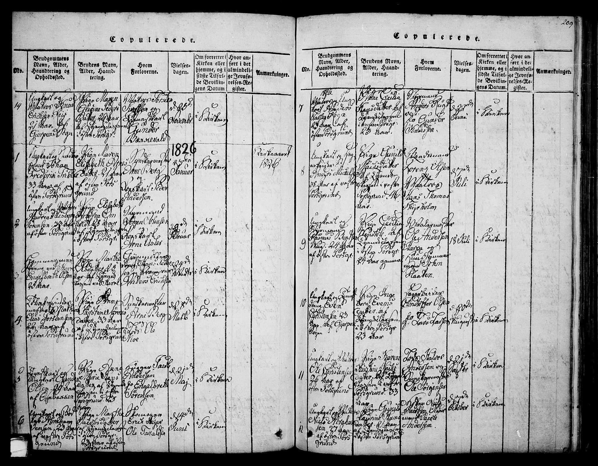 Porsgrunn kirkebøker , SAKO/A-104/F/Fa/L0004: Parish register (official) no. 4, 1814-1828, p. 209