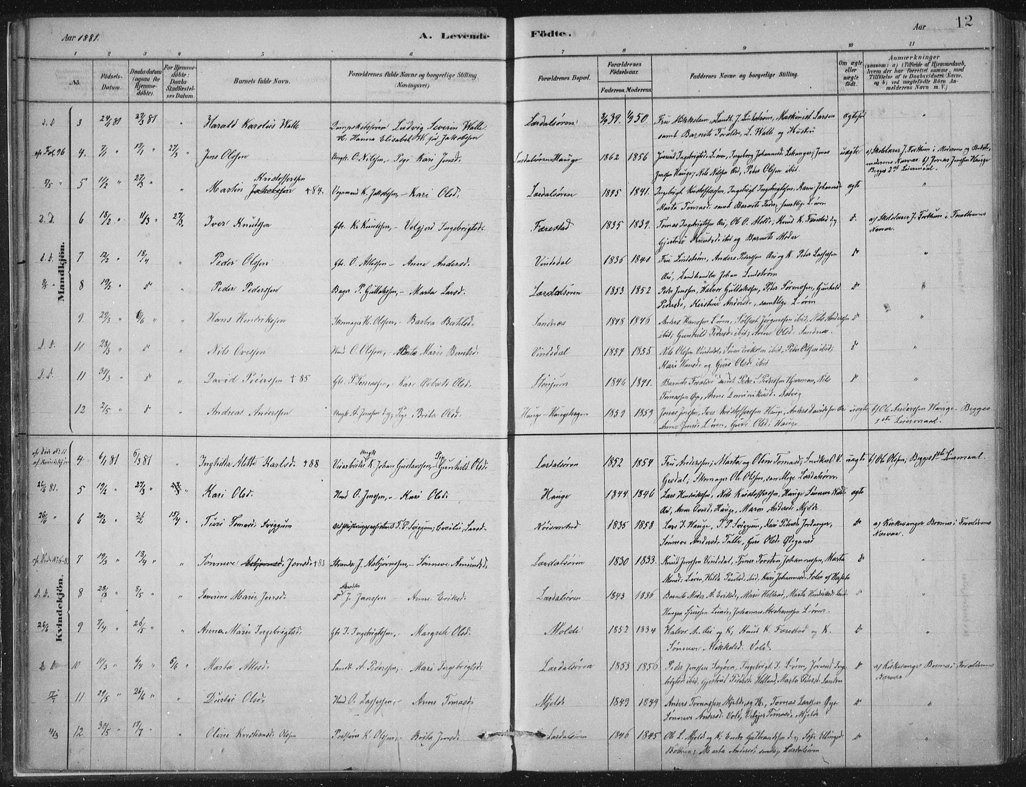 Lærdal sokneprestembete, SAB/A-81201: Parish register (official) no. D  1, 1878-1908, p. 12