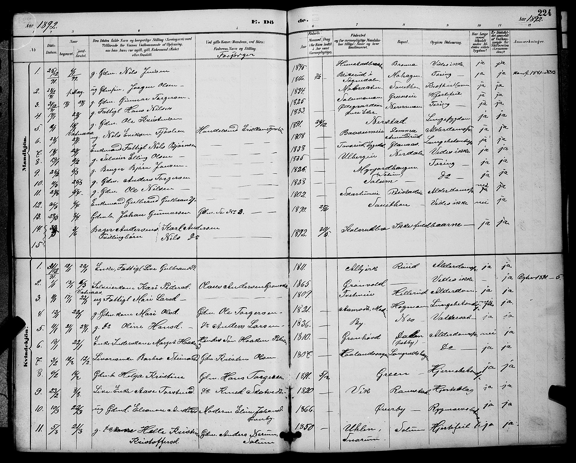 Sigdal kirkebøker, AV/SAKO-A-245/G/Ga/L0005: Parish register (copy) no. I 5, 1886-1900, p. 224