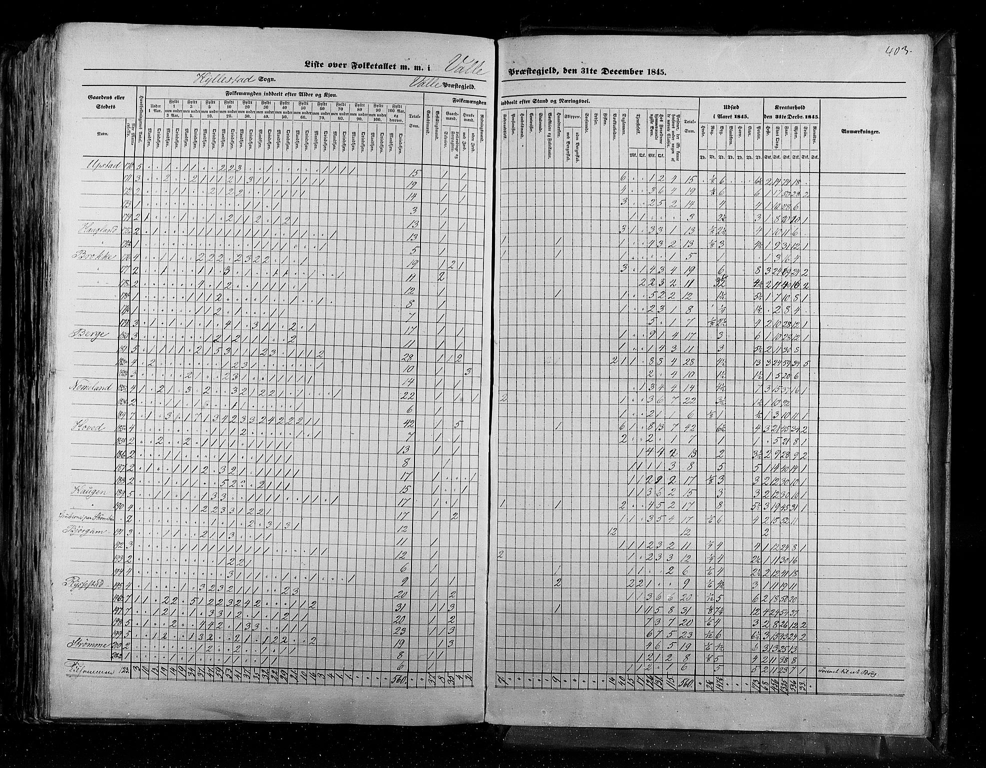 RA, Census 1845, vol. 5: Bratsberg amt og Nedenes og Råbyggelaget amt, 1845, p. 403