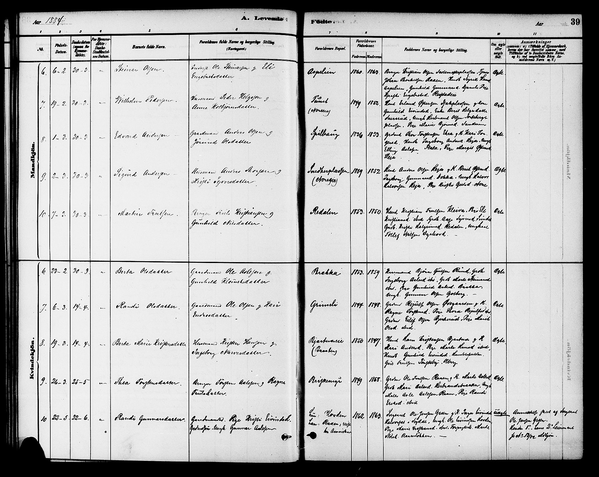 Krødsherad kirkebøker, AV/SAKO-A-19/G/Ga/L0001: Parish register (copy) no. 1, 1879-1893, p. 39