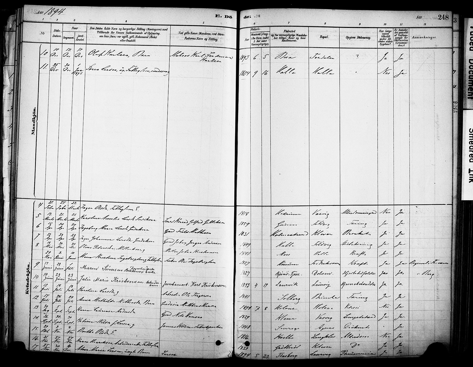 Brunlanes kirkebøker, AV/SAKO-A-342/F/Fc/L0001: Parish register (official) no. III 1, 1878-1899, p. 248