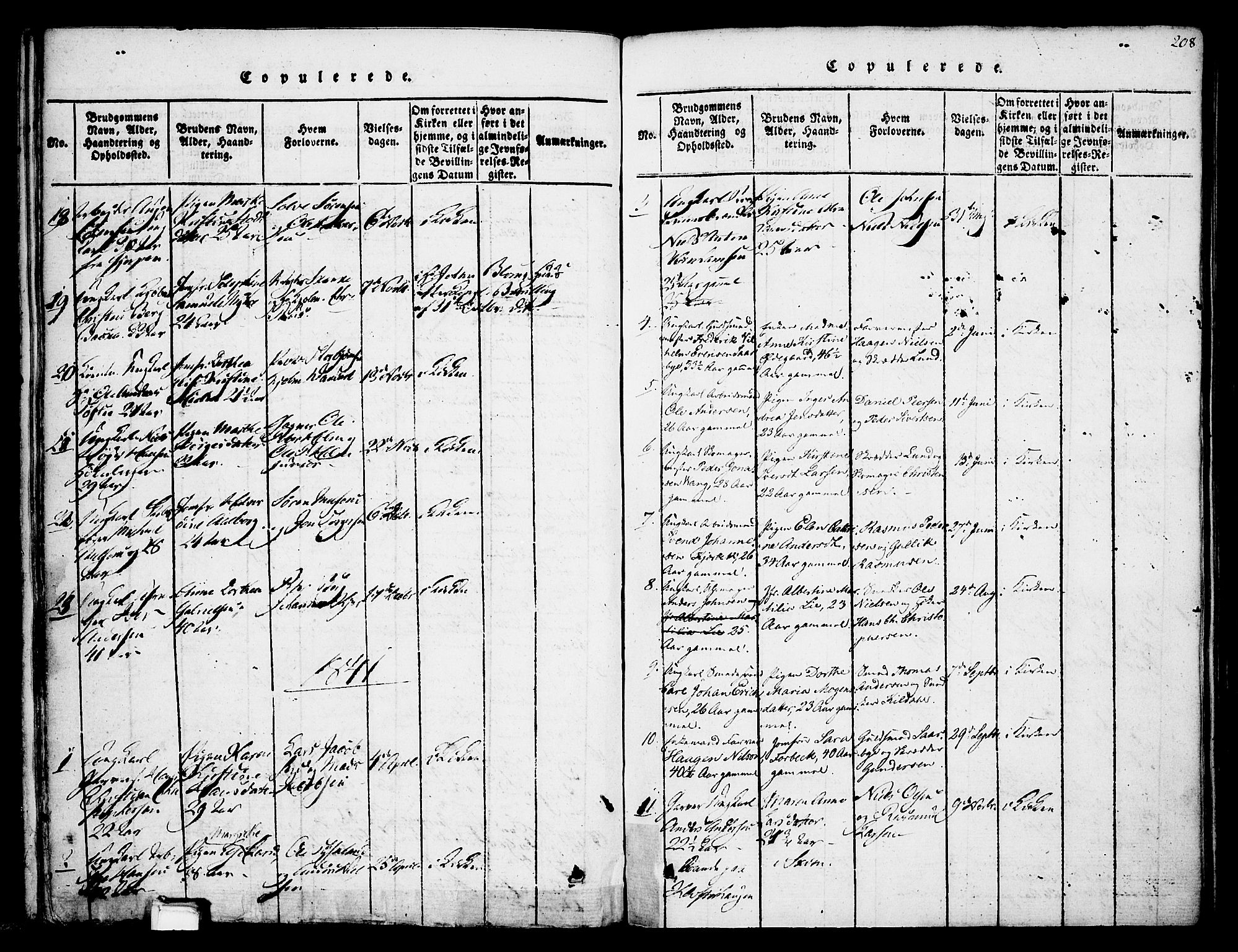 Skien kirkebøker, AV/SAKO-A-302/F/Fa/L0005: Parish register (official) no. 5, 1814-1843, p. 208