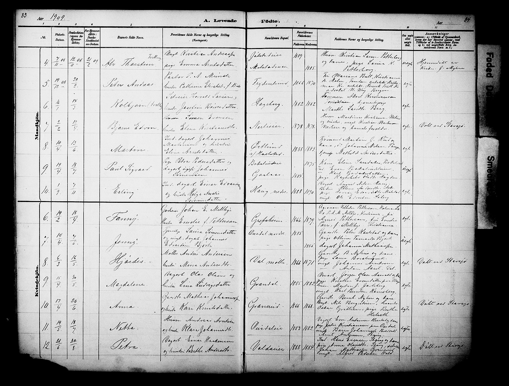 Nes prestekontor, Hedmark, AV/SAH-PREST-020/L/La/L0006: Parish register (copy) no. 6, 1890-1932, p. 83-84