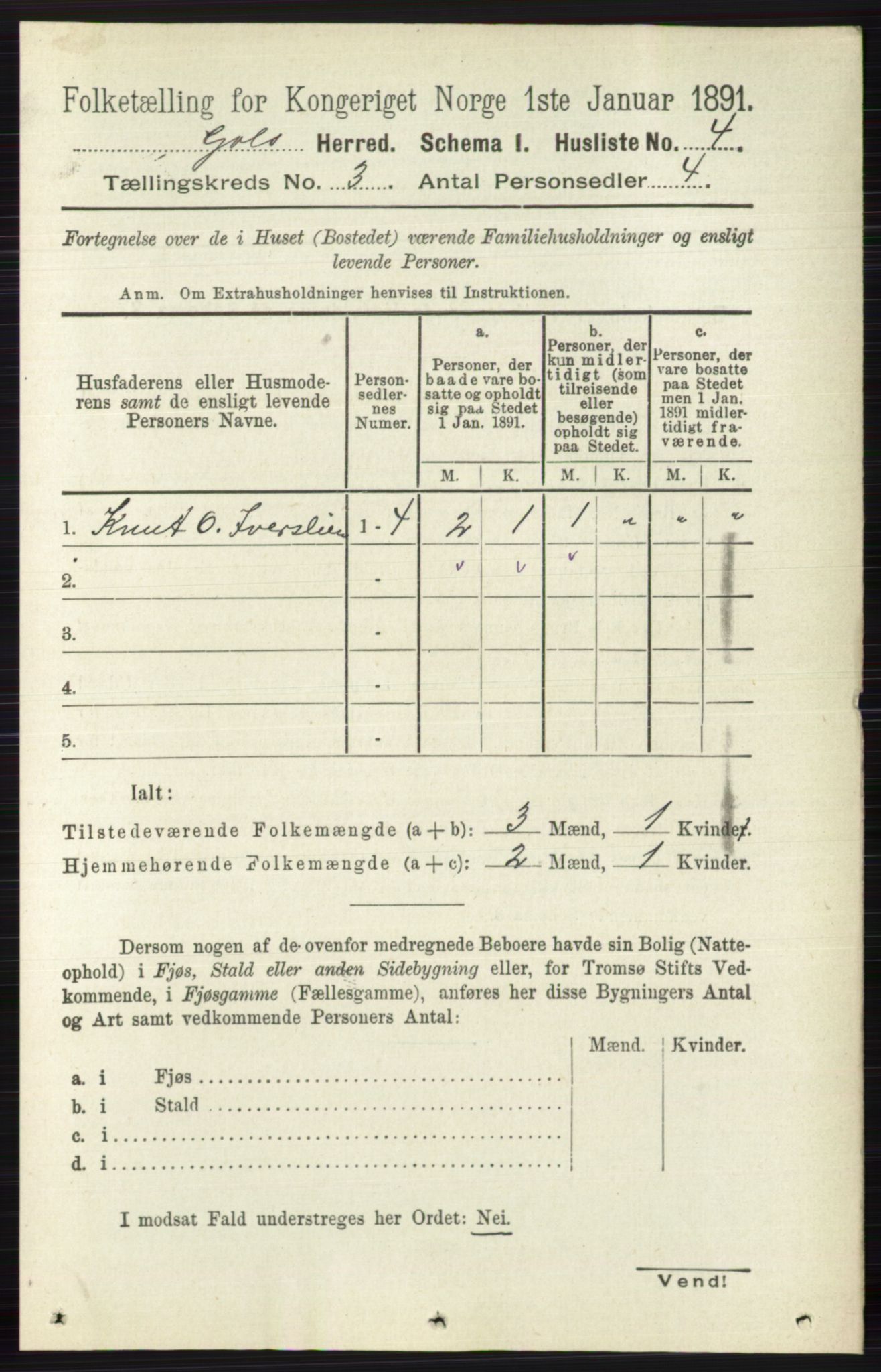 RA, 1891 census for 0617 Gol og Hemsedal, 1891, p. 1198