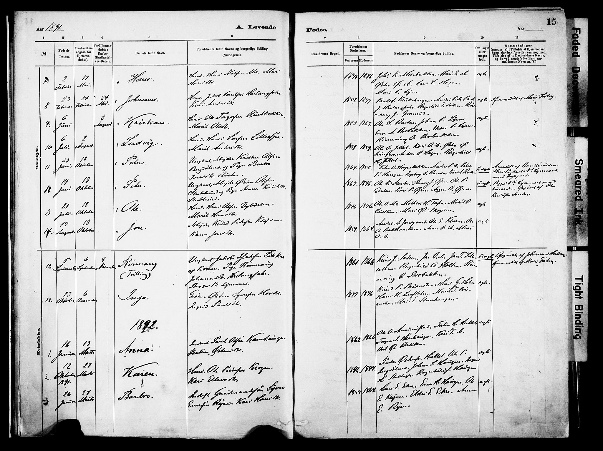 Vågå prestekontor, AV/SAH-PREST-076/H/Ha/Haa/L0010: Parish register (official) no. 10, 1887-1904, p. 15