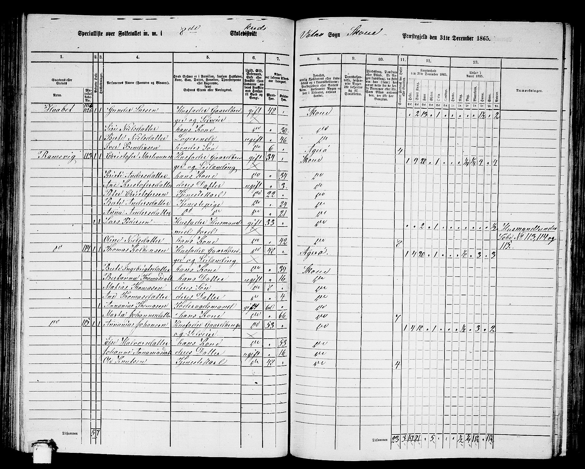 RA, 1865 census for Skodje, 1865, p. 96