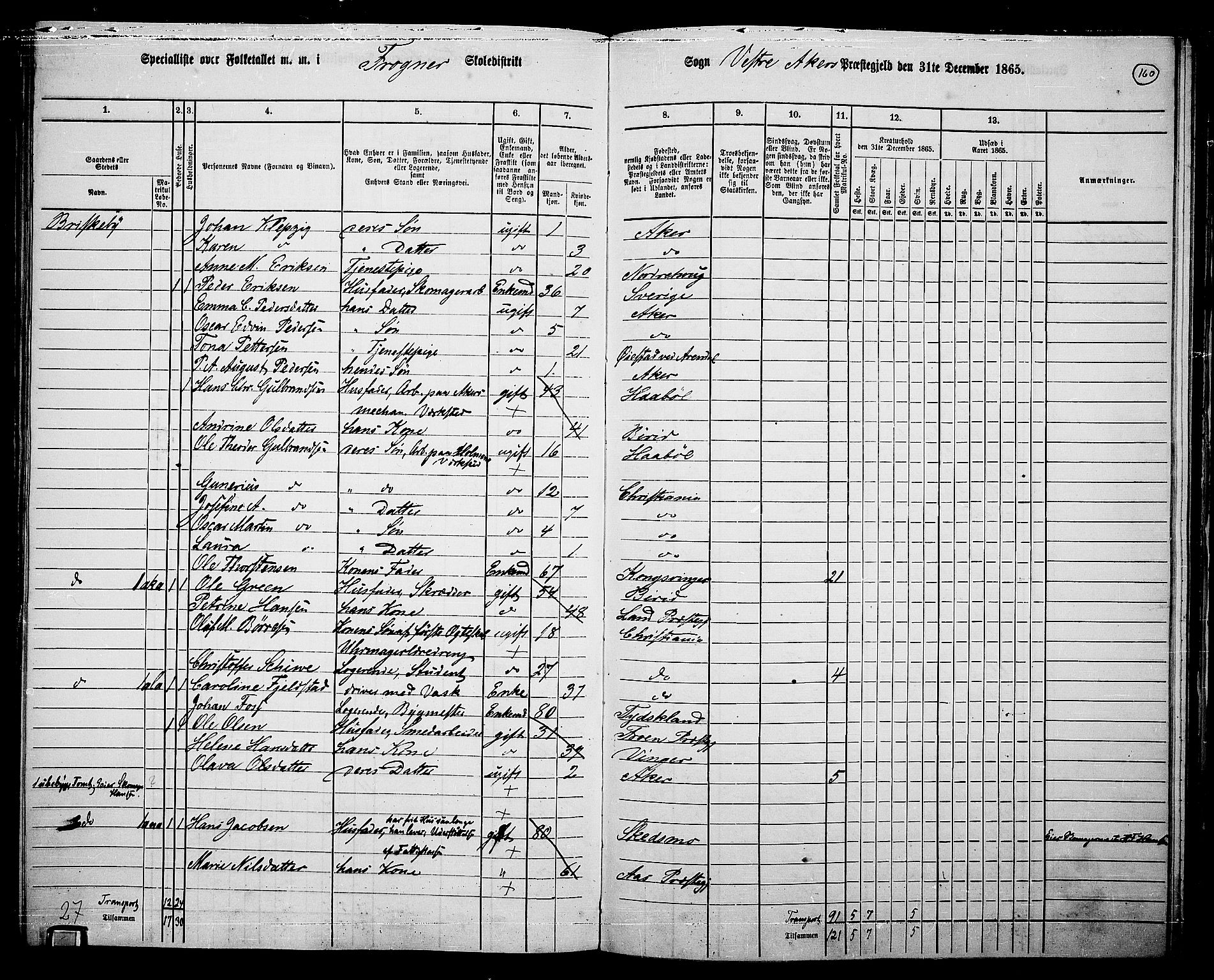 RA, 1865 census for Vestre Aker, 1865, p. 325