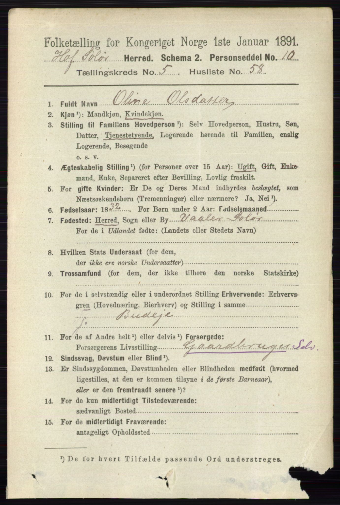 RA, 1891 census for 0424 Hof, 1891, p. 2187