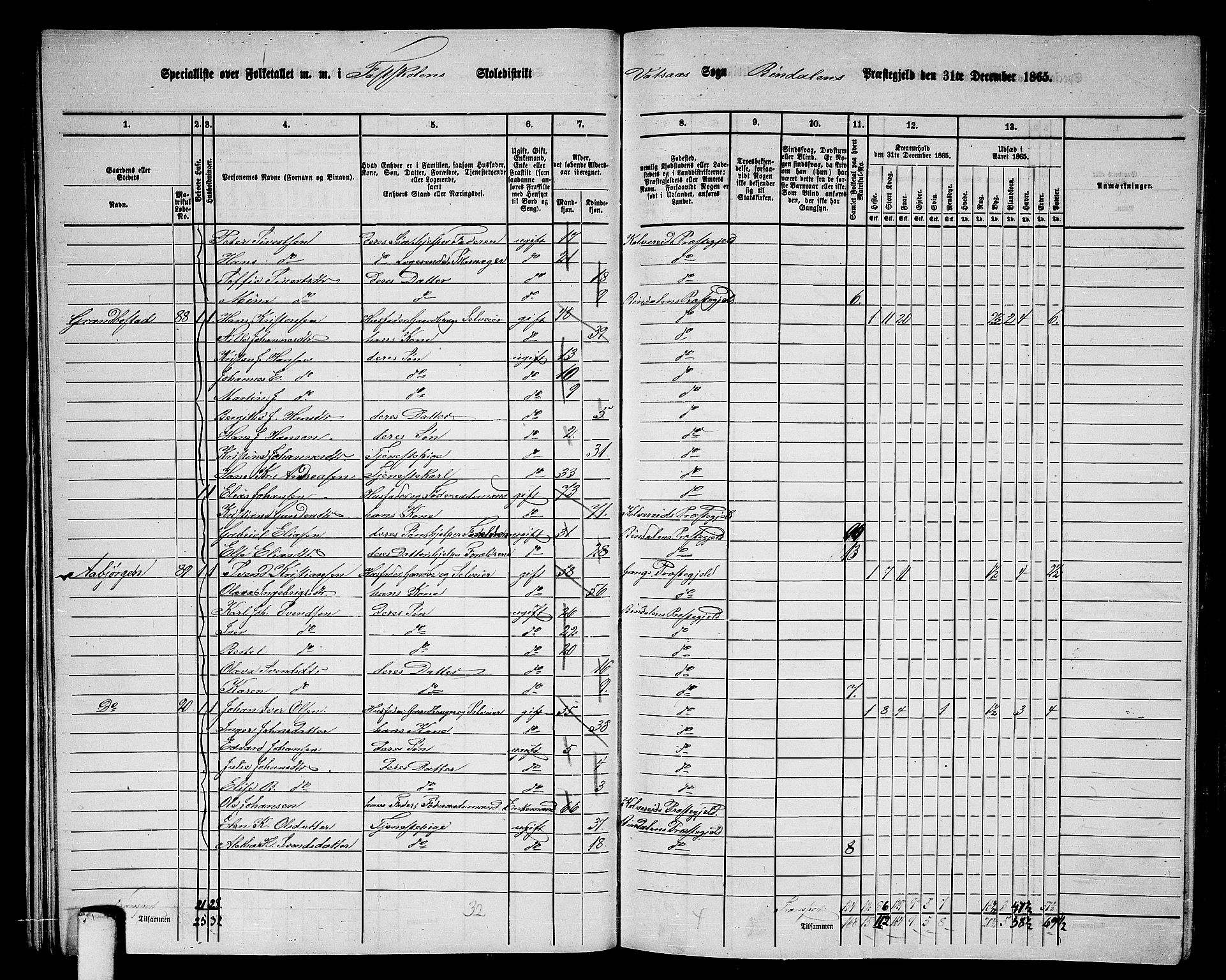 RA, 1865 census for Bindal, 1865, p. 27