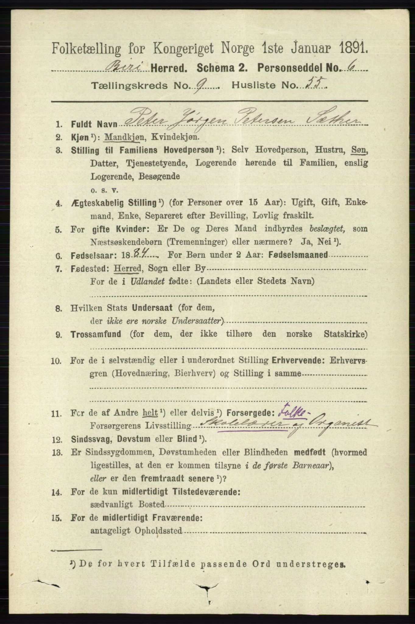 RA, 1891 census for 0525 Biri, 1891, p. 3733