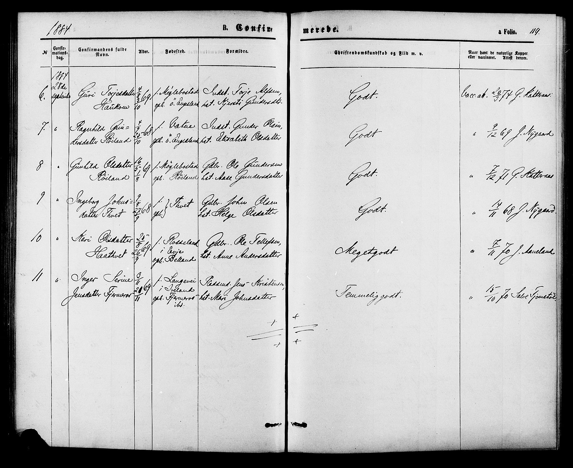 Herefoss sokneprestkontor, AV/SAK-1111-0019/F/Fa/Fab/L0003: Parish register (official) no. A 3, 1875-1886, p. 119