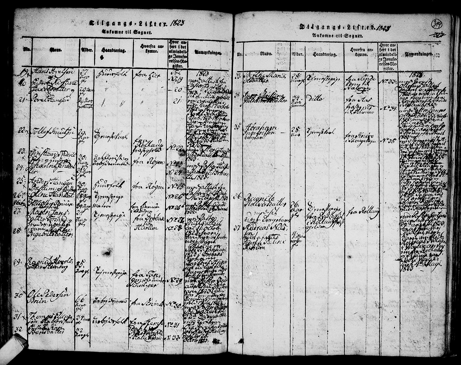 Hurum kirkebøker, AV/SAKO-A-229/F/Fa/L0009: Parish register (official) no. 9, 1816-1826, p. 319